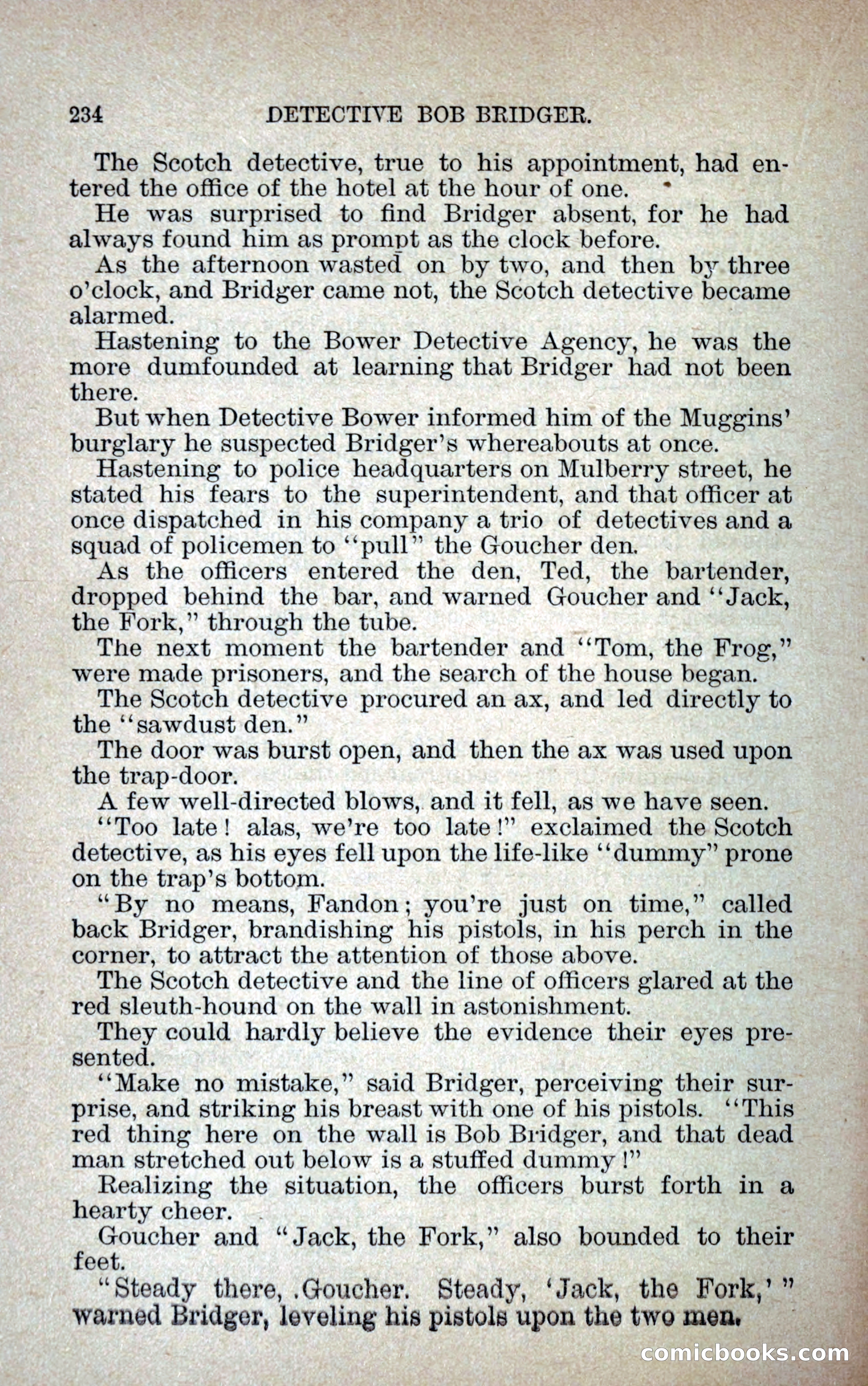 Detective Bob Bridger — page 241 of 263
