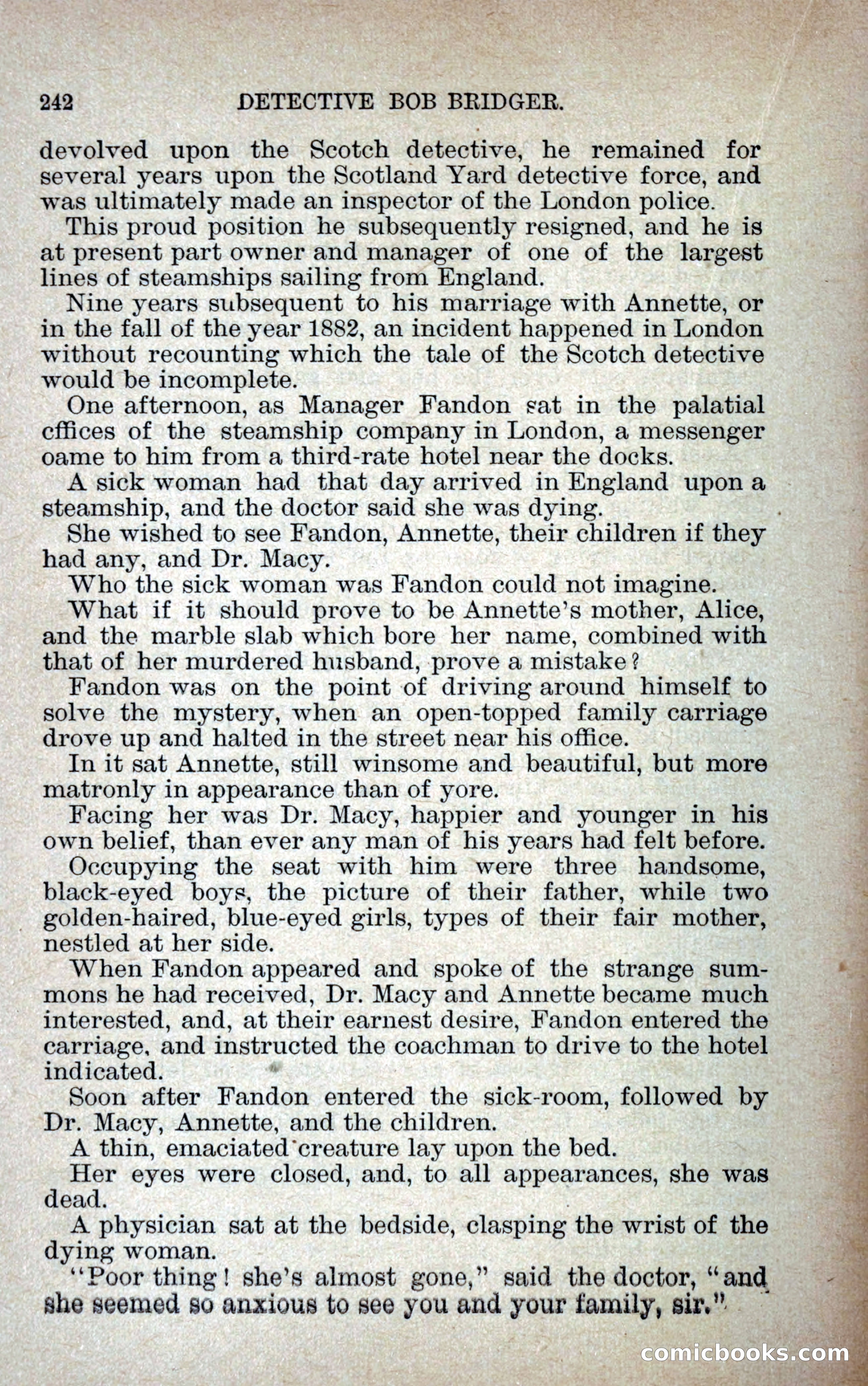 Detective Bob Bridger — page 249 of 263