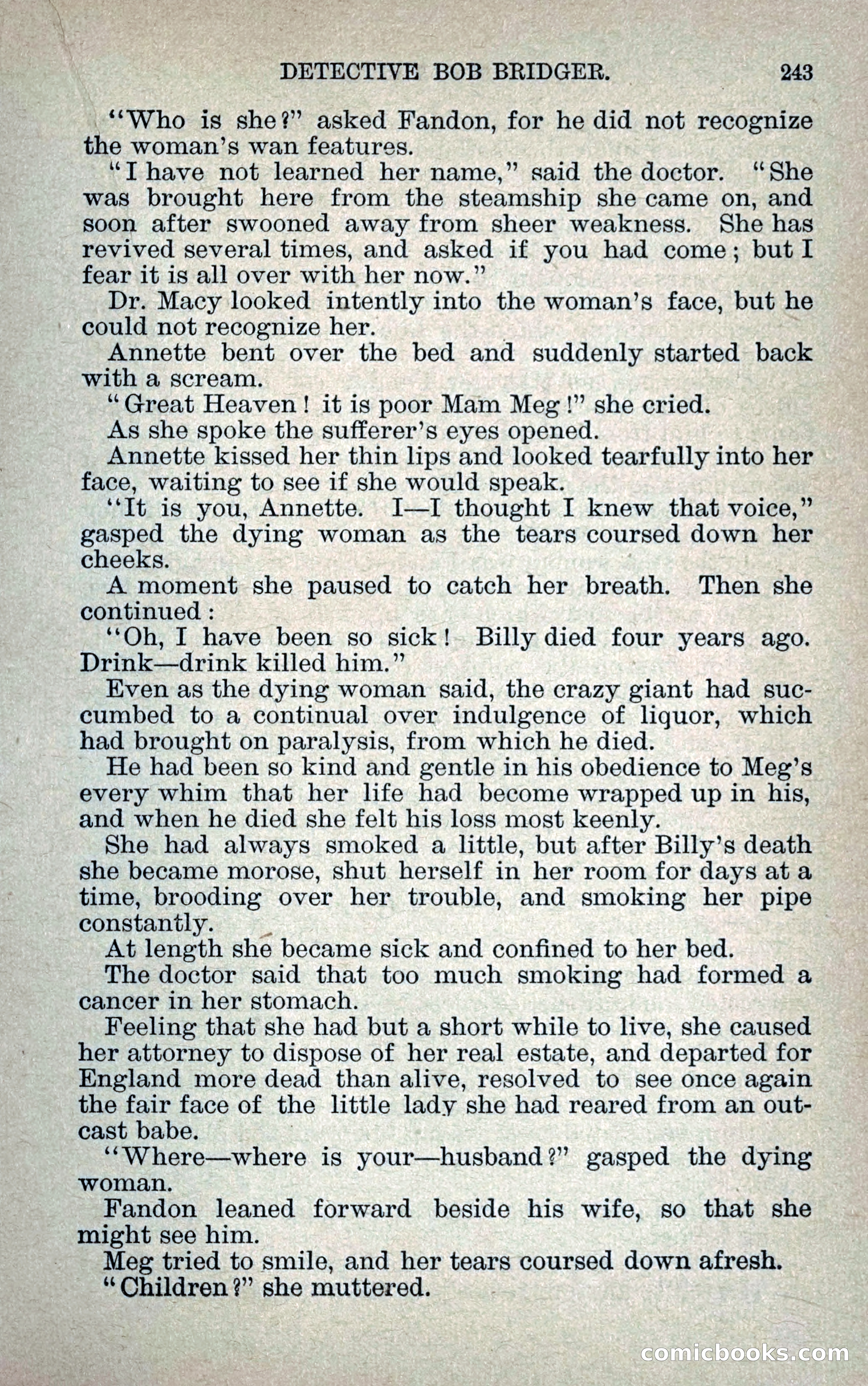 Detective Bob Bridger — page 250 of 263