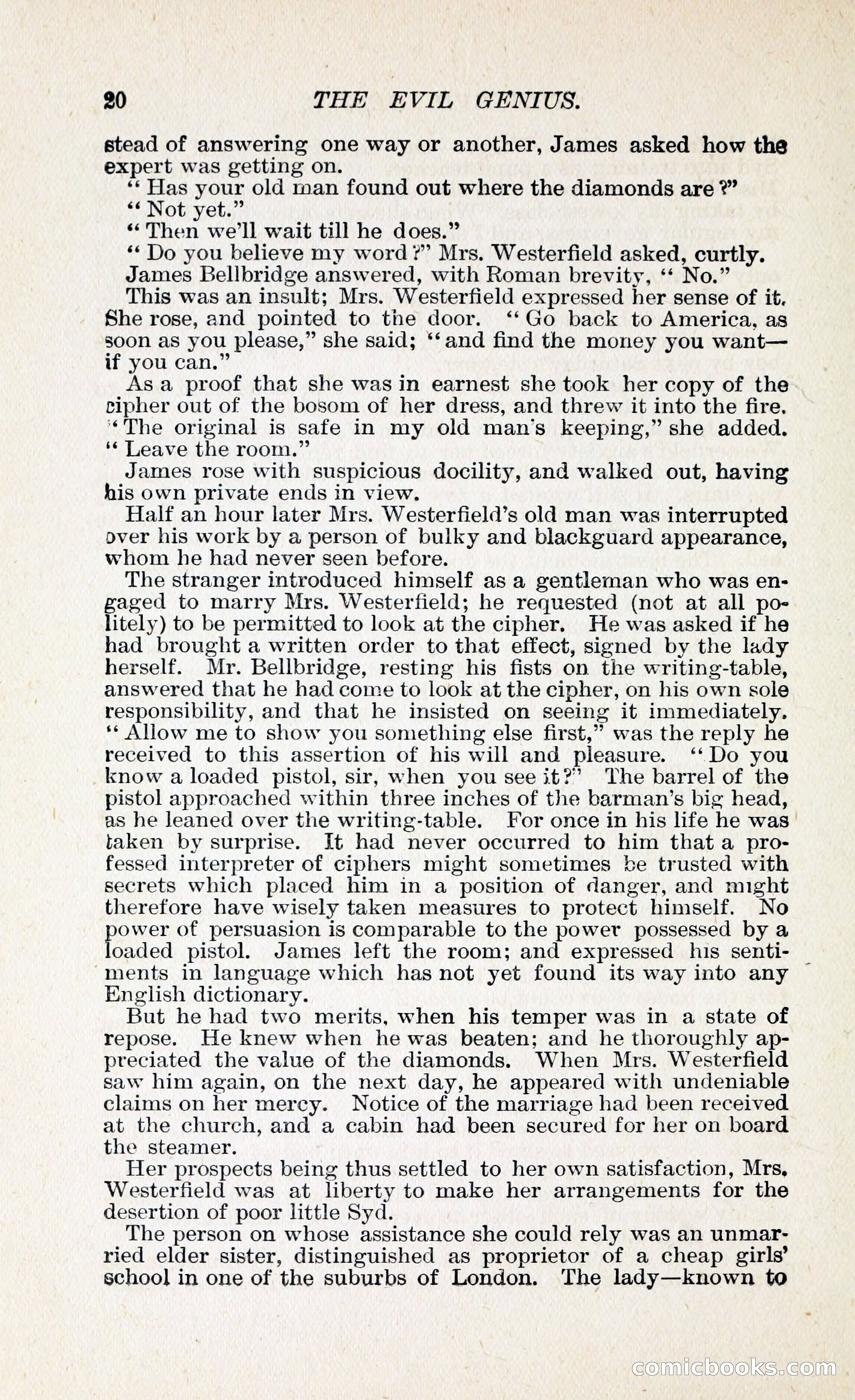 The Evil Genius: A Domestic Story — page 31 of 254