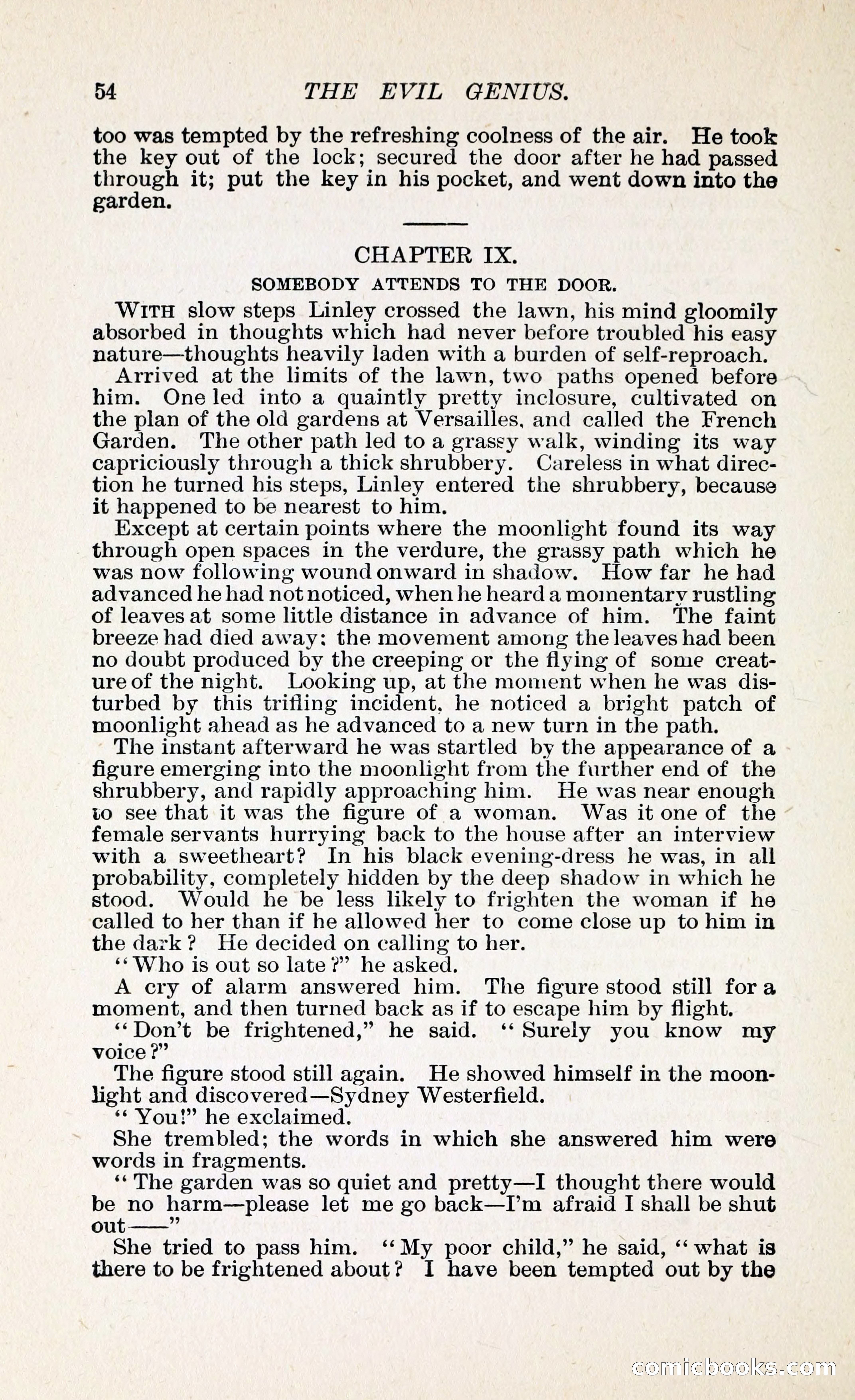 The Evil Genius: A Domestic Story — page 65 of 254