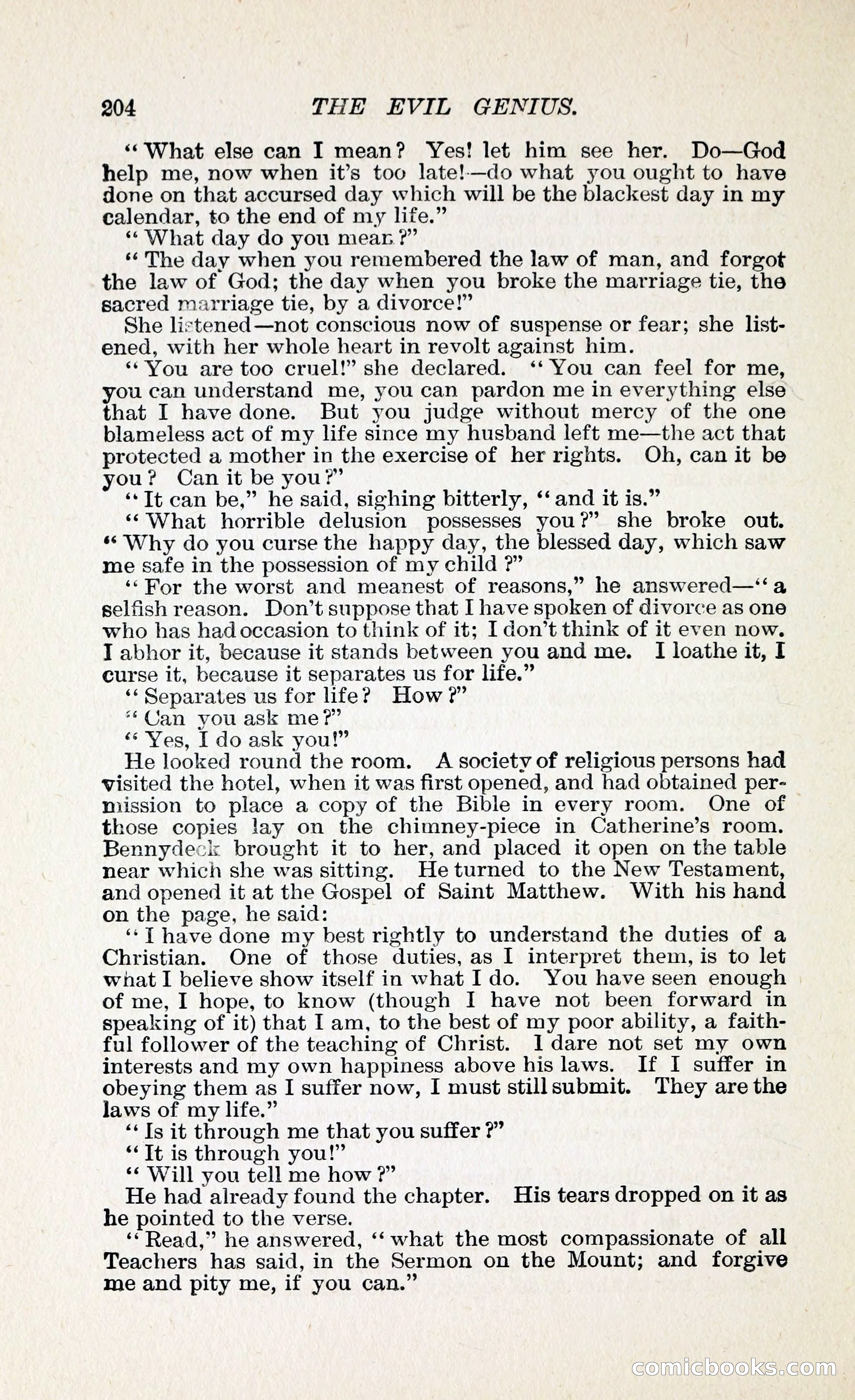The Evil Genius: A Domestic Story — page 215 of 254