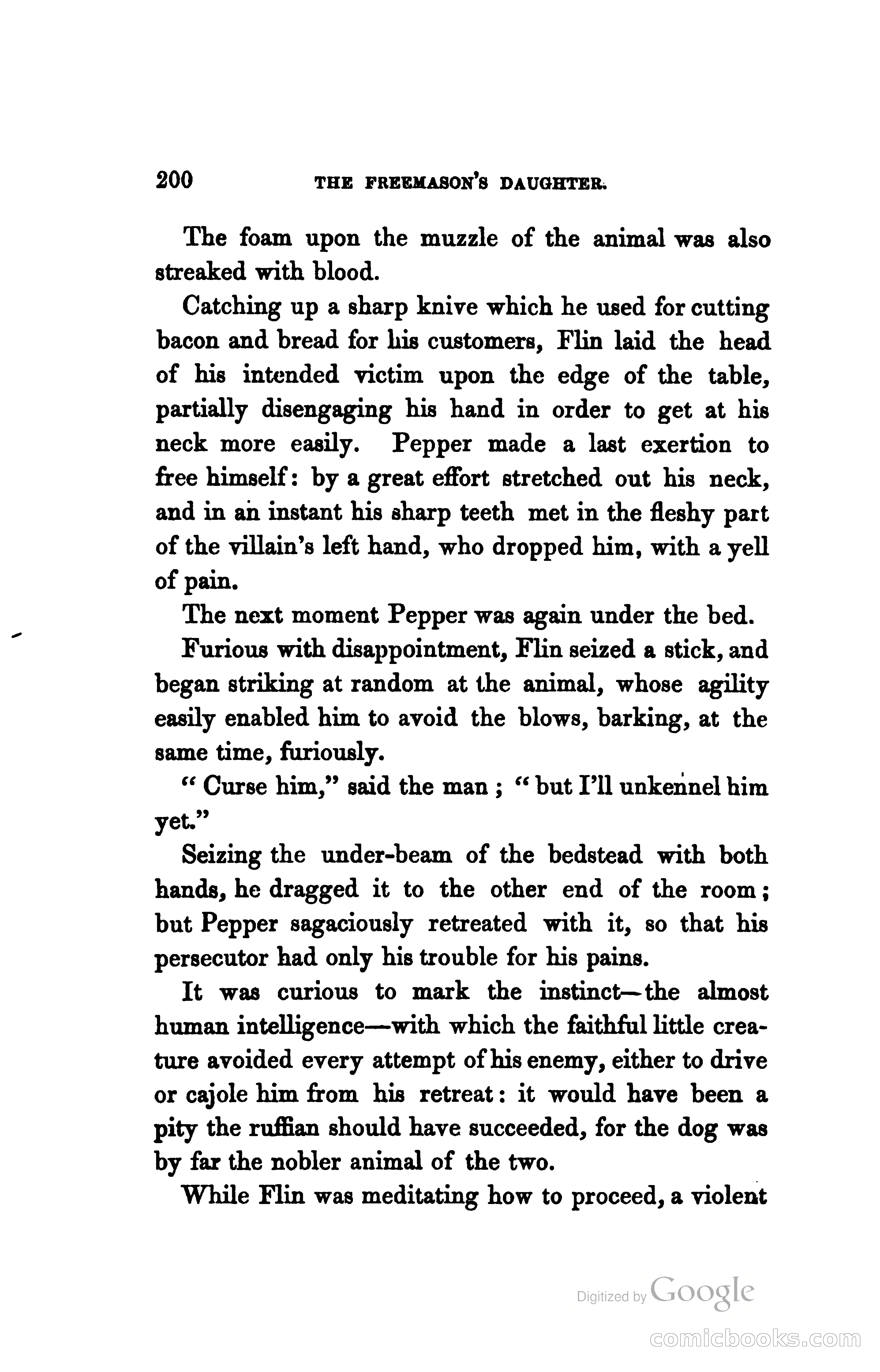 The Freemason's Daughter: A Novel — page 207 of 312