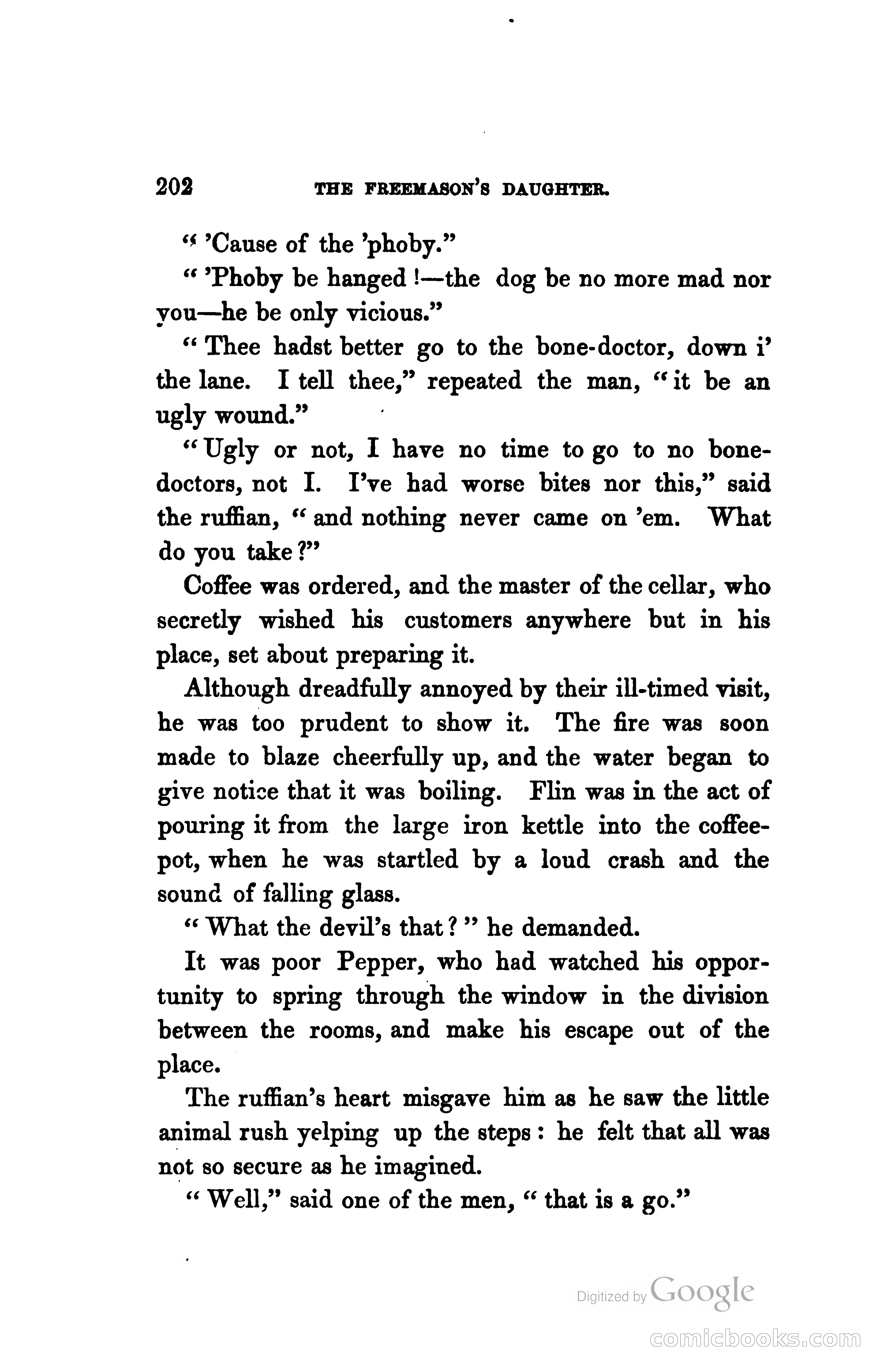 The Freemason's Daughter: A Novel — page 209 of 312
