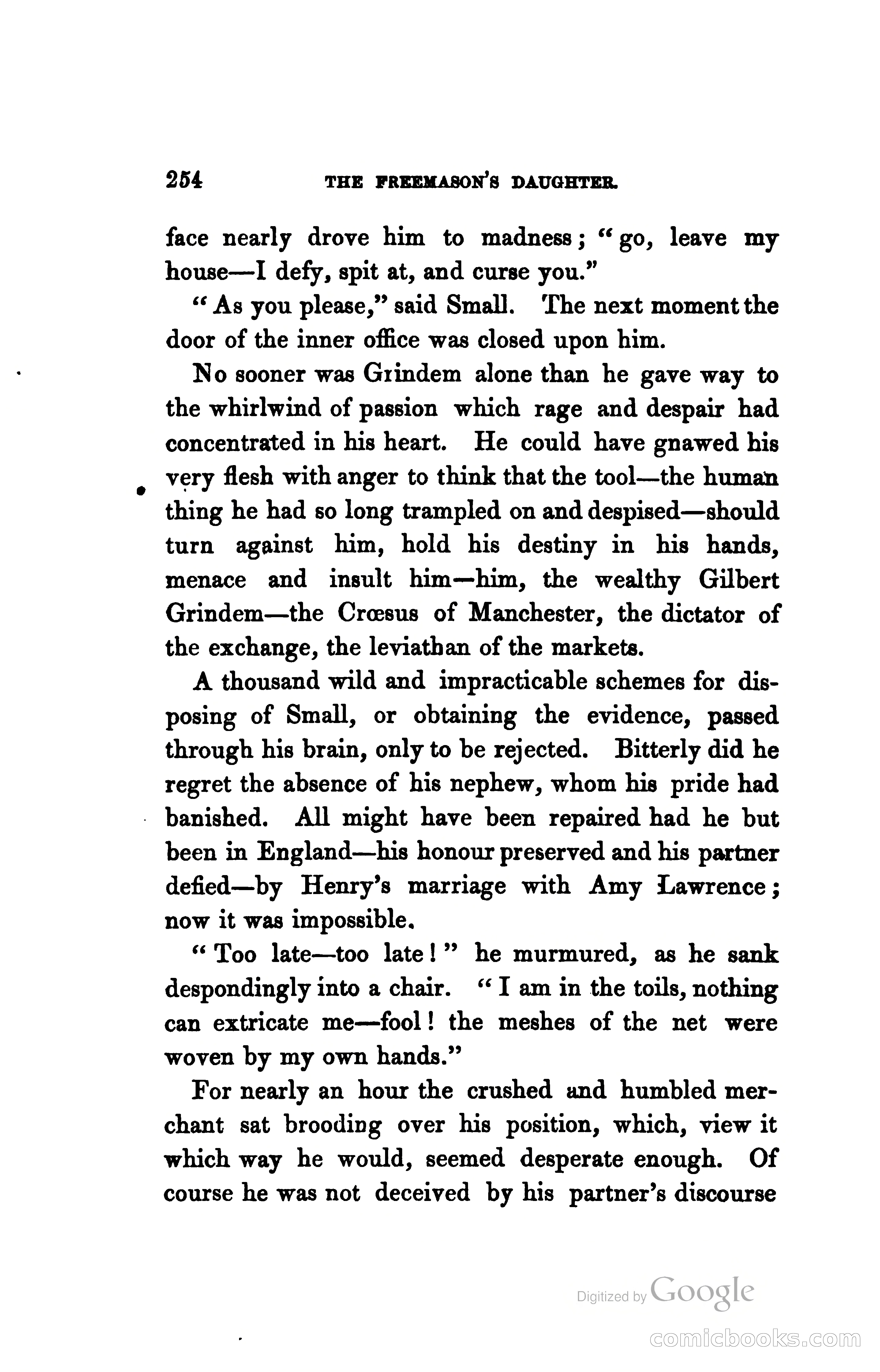 The Freemason's Daughter: A Novel — page 261 of 312