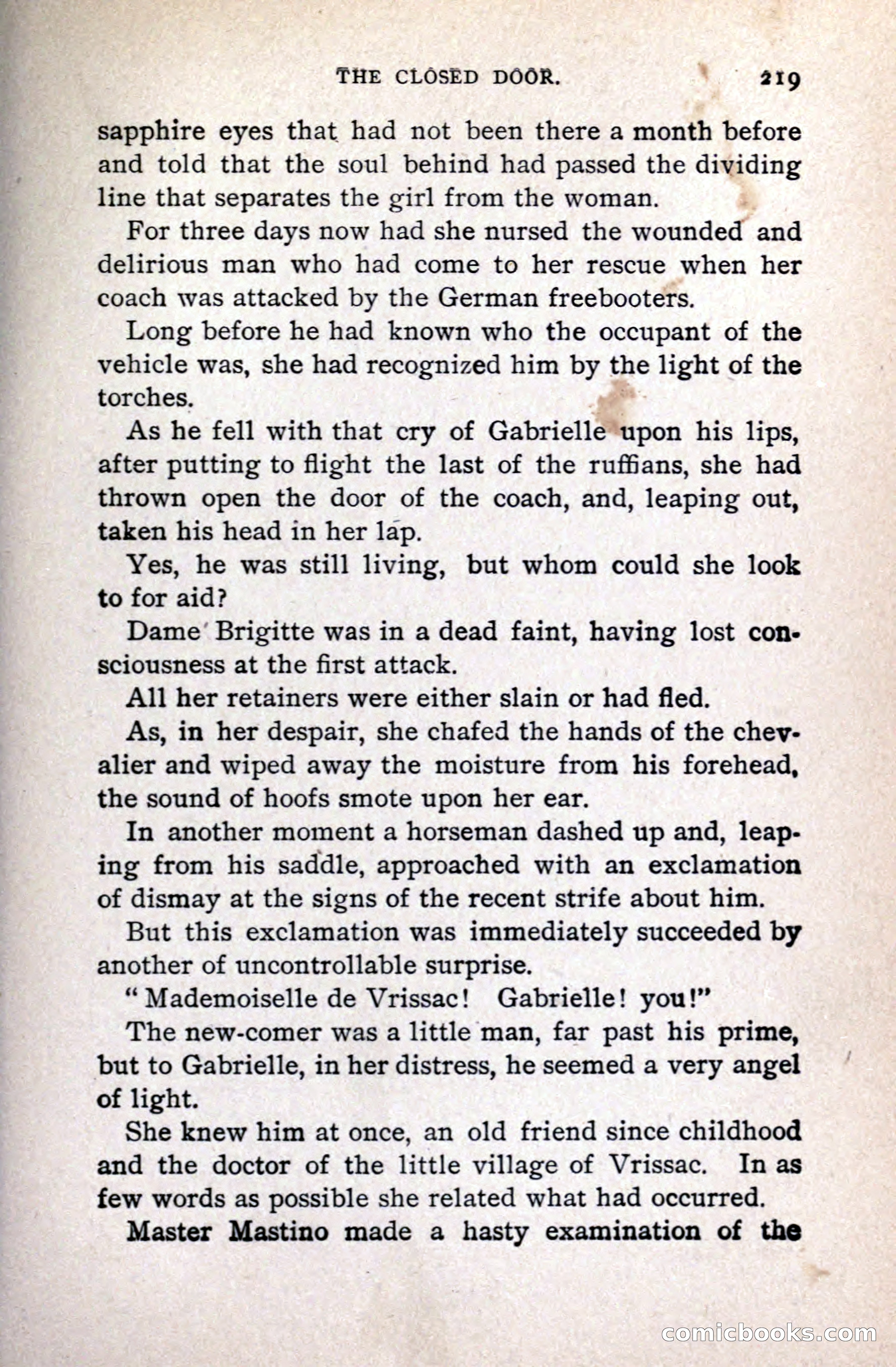 A Gentleman from Gascony: A Romance of the Huguenots — page 223 of 313