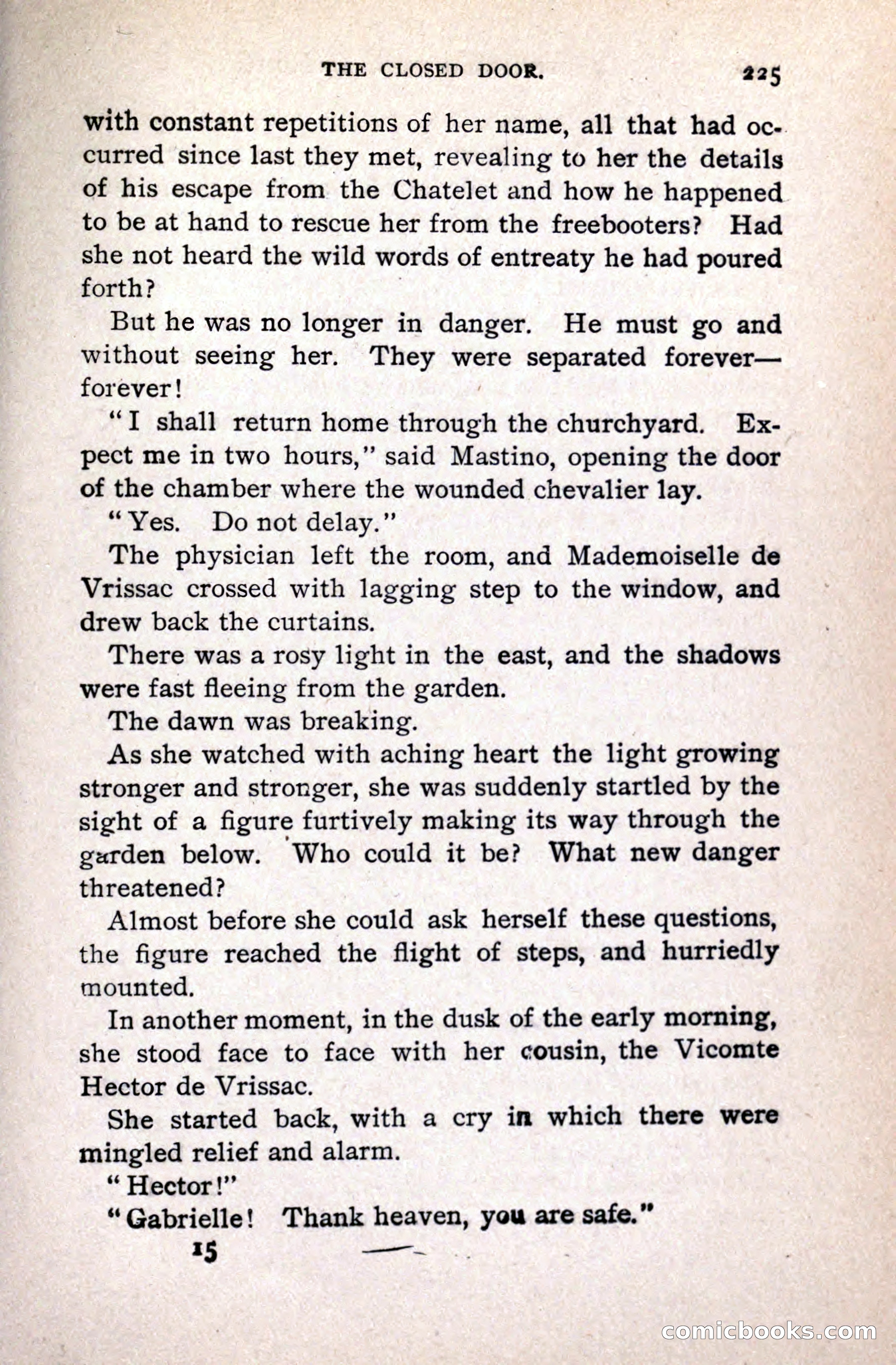 A Gentleman from Gascony: A Romance of the Huguenots — page 229 of 313