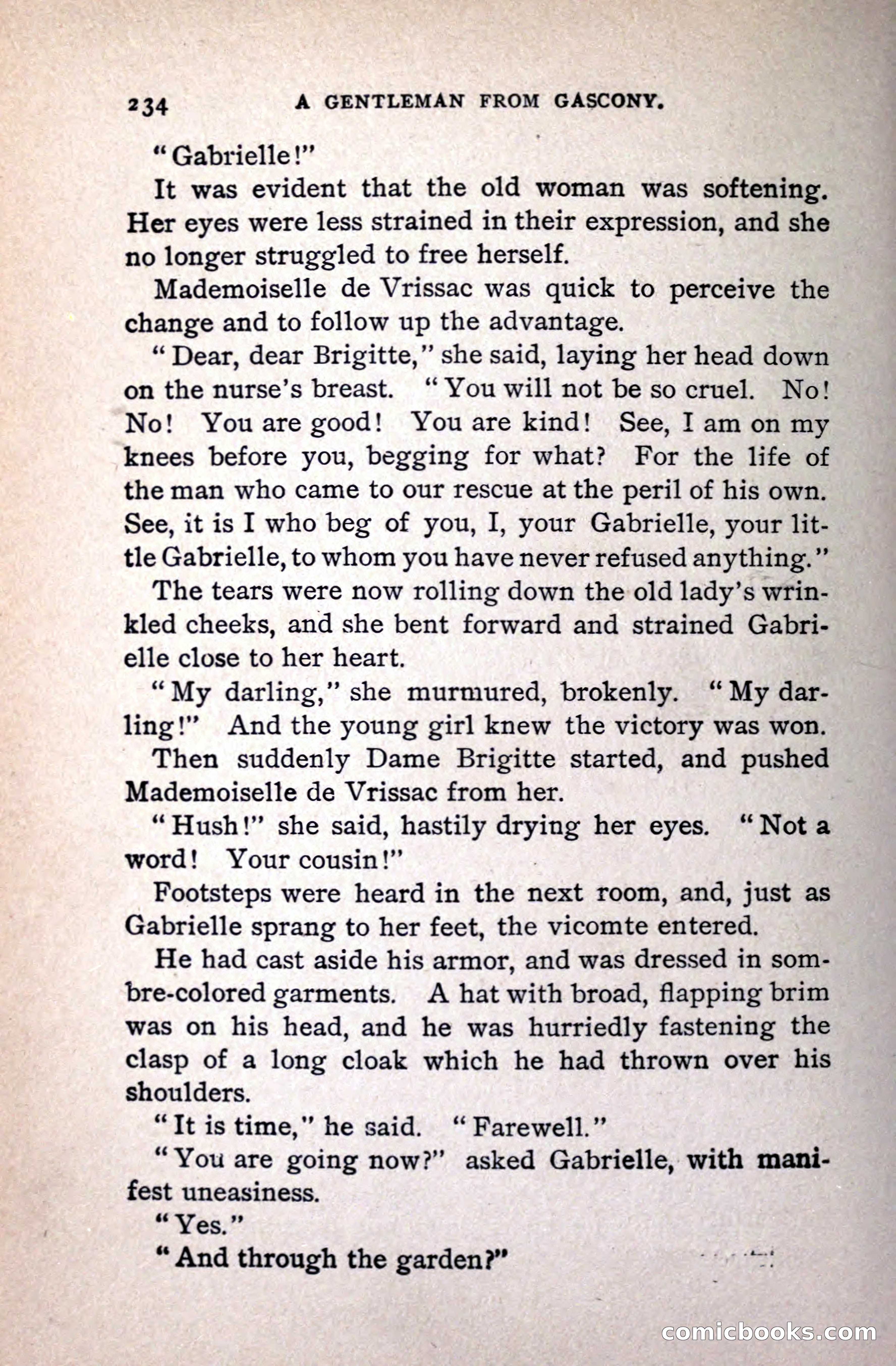 A Gentleman from Gascony: A Romance of the Huguenots — page 238 of 313