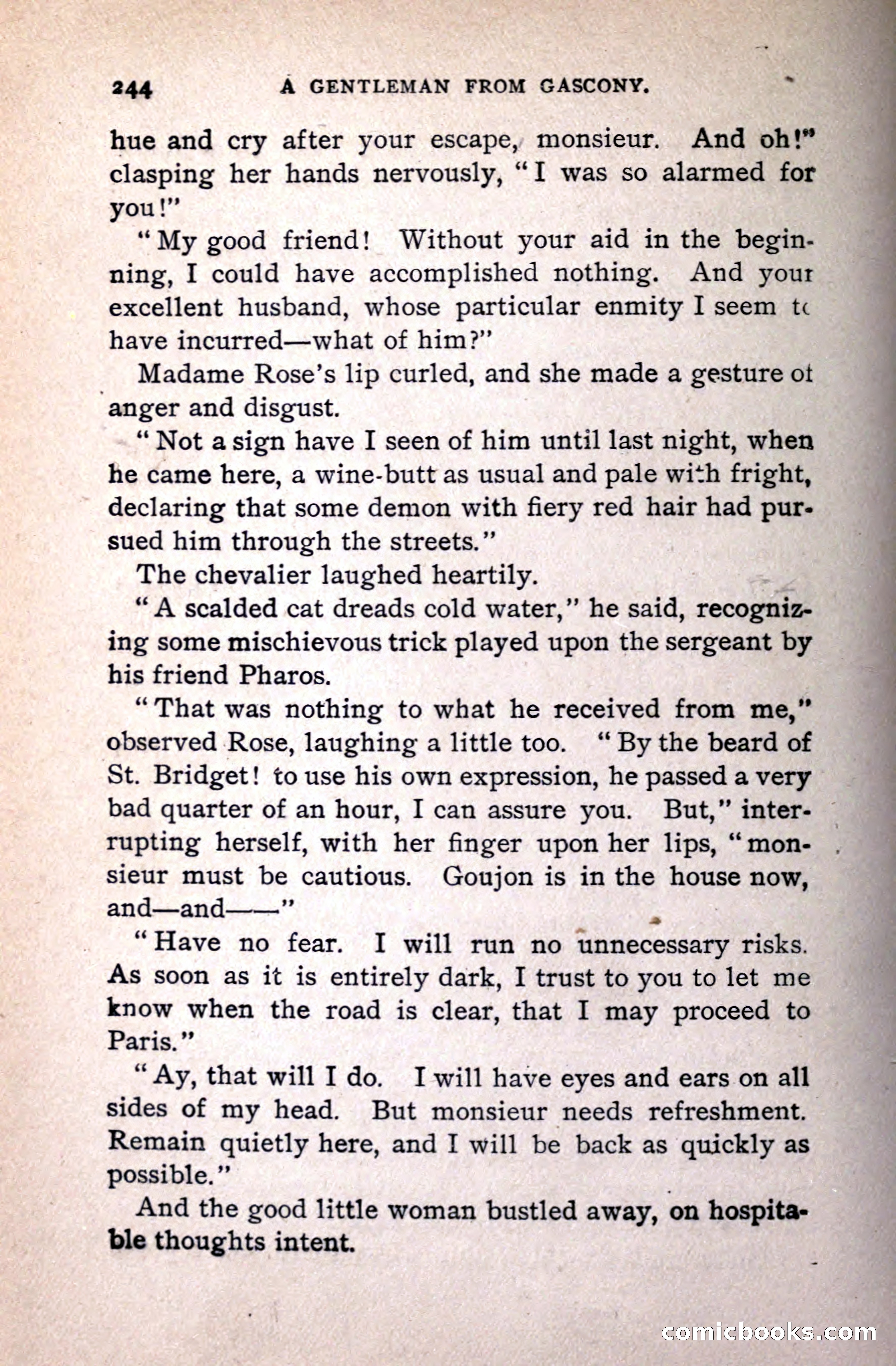 A Gentleman from Gascony: A Romance of the Huguenots — page 248 of 313