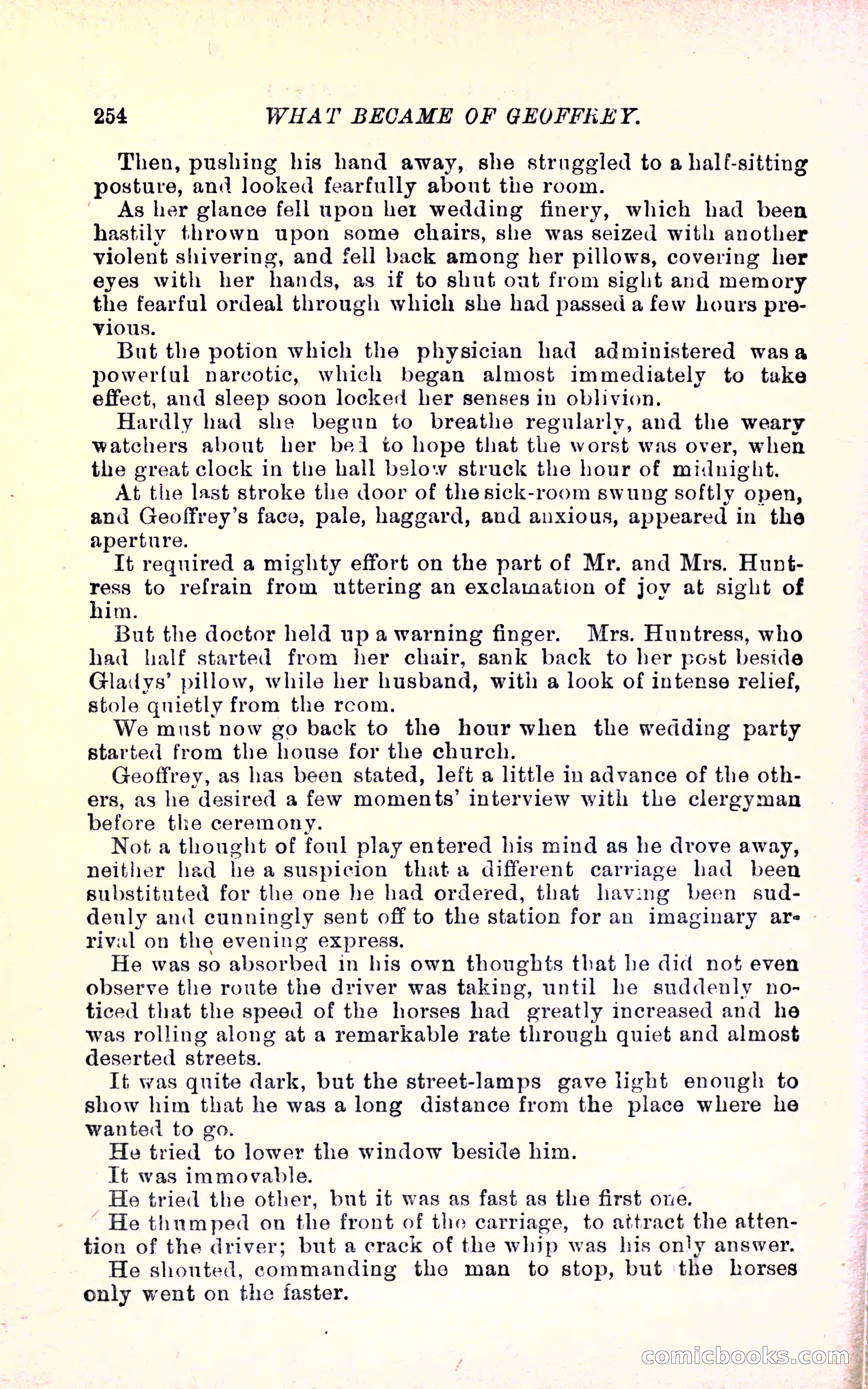 Geoffrey's Victory by Mrs Georgie Sheldon — page 258 of 324