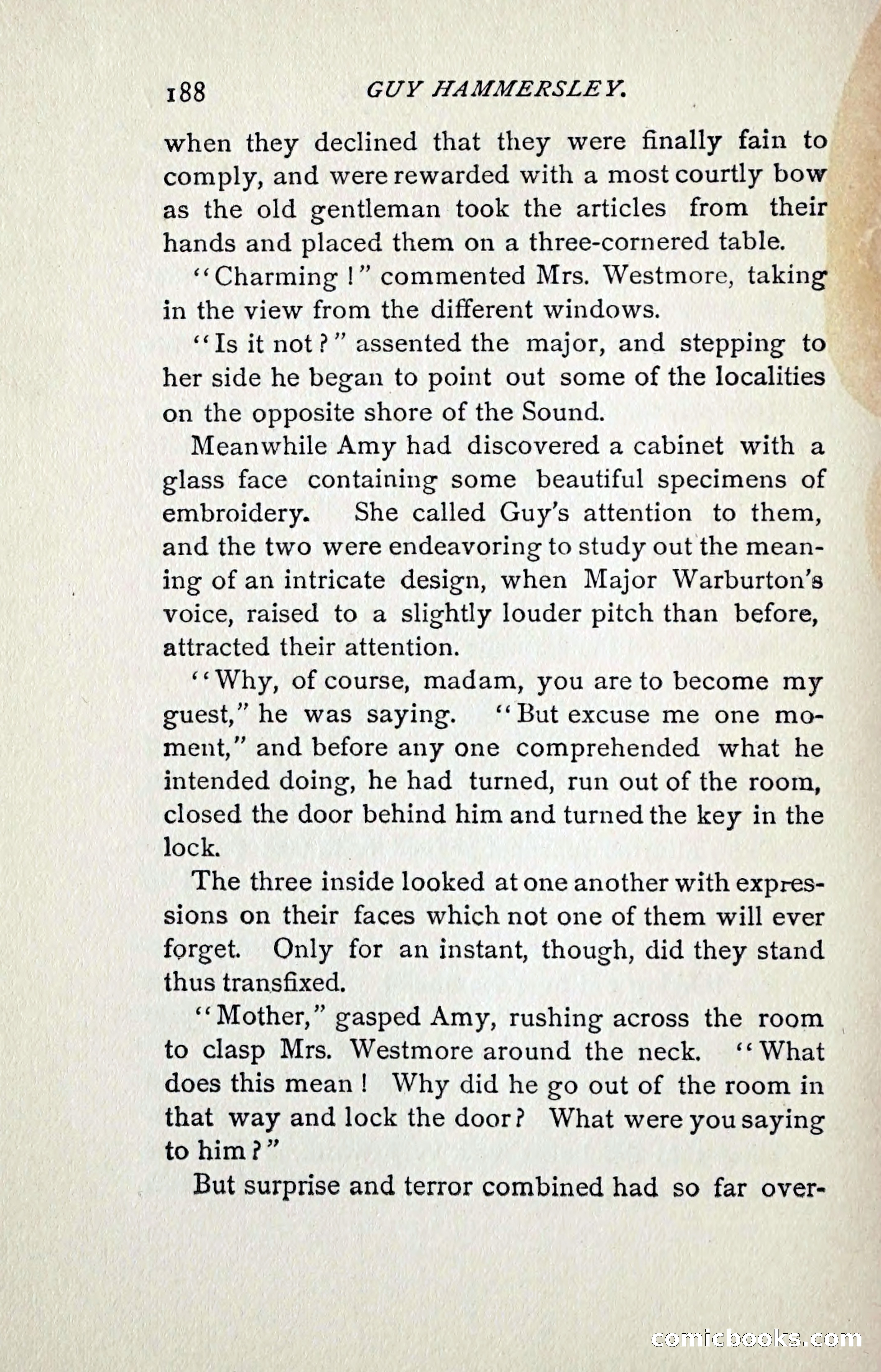 Guy Hammersley; or, Clearing his Name — page 197 of 264