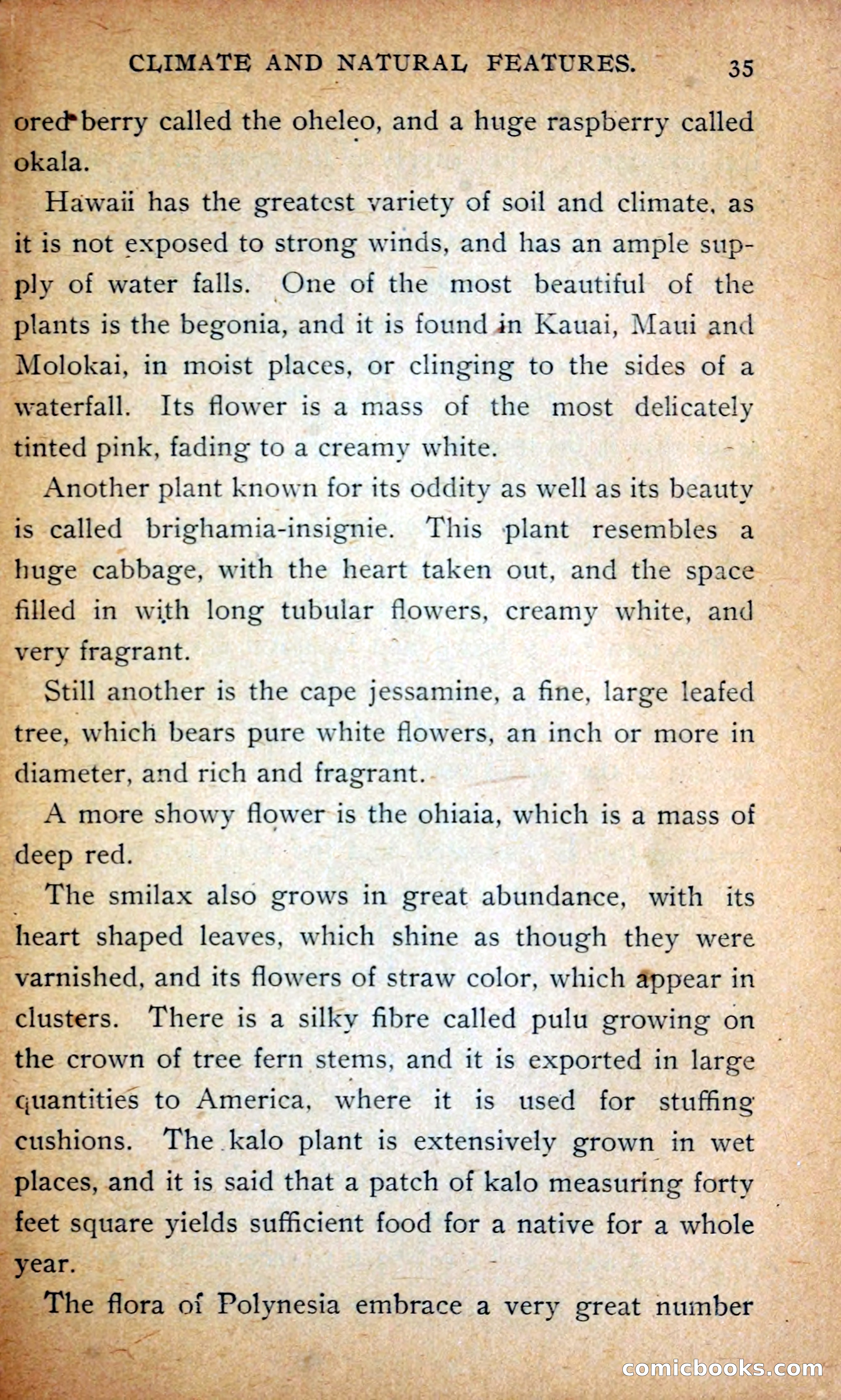 Hawaii — page 44 of 214