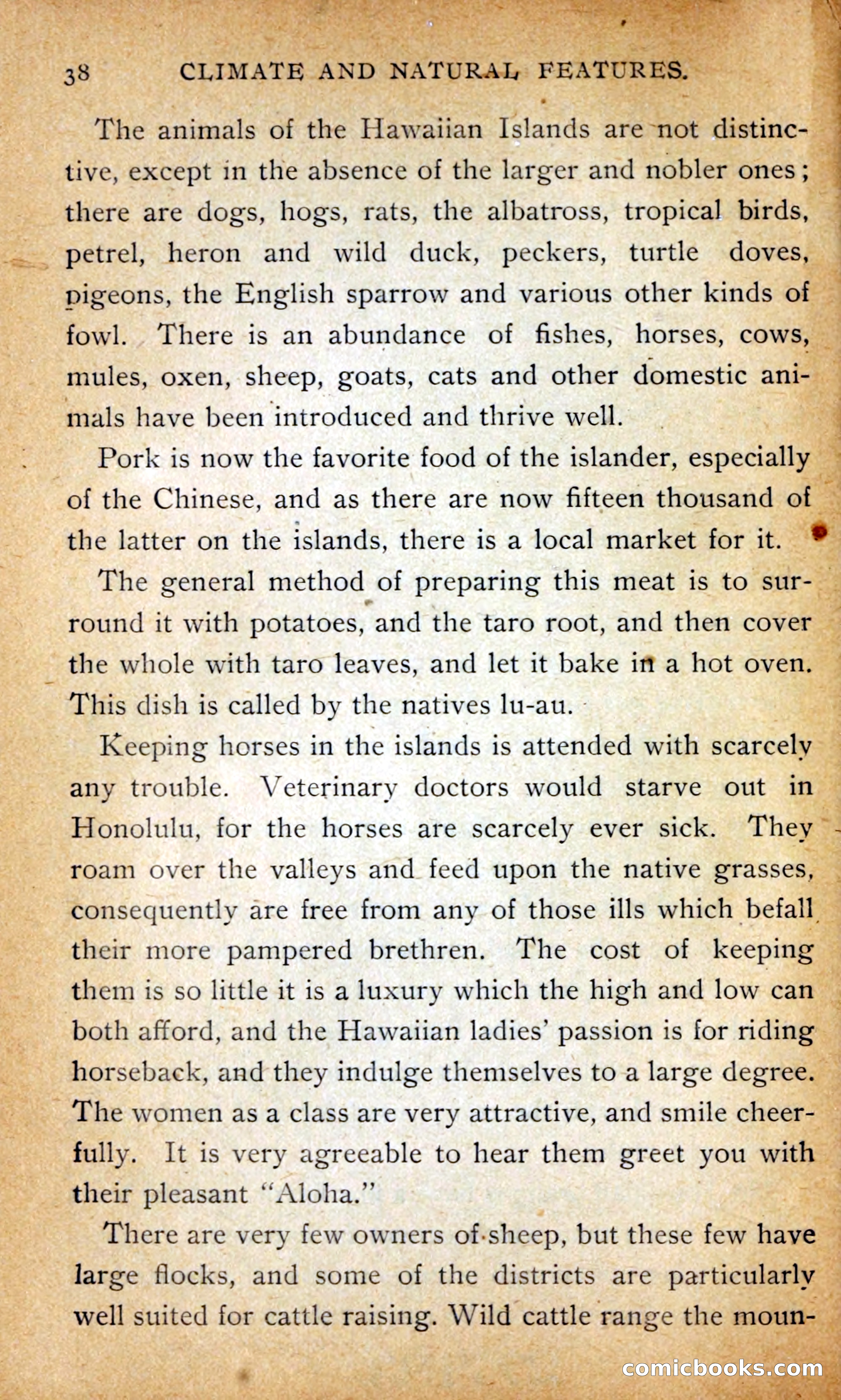 Hawaii — page 47 of 214
