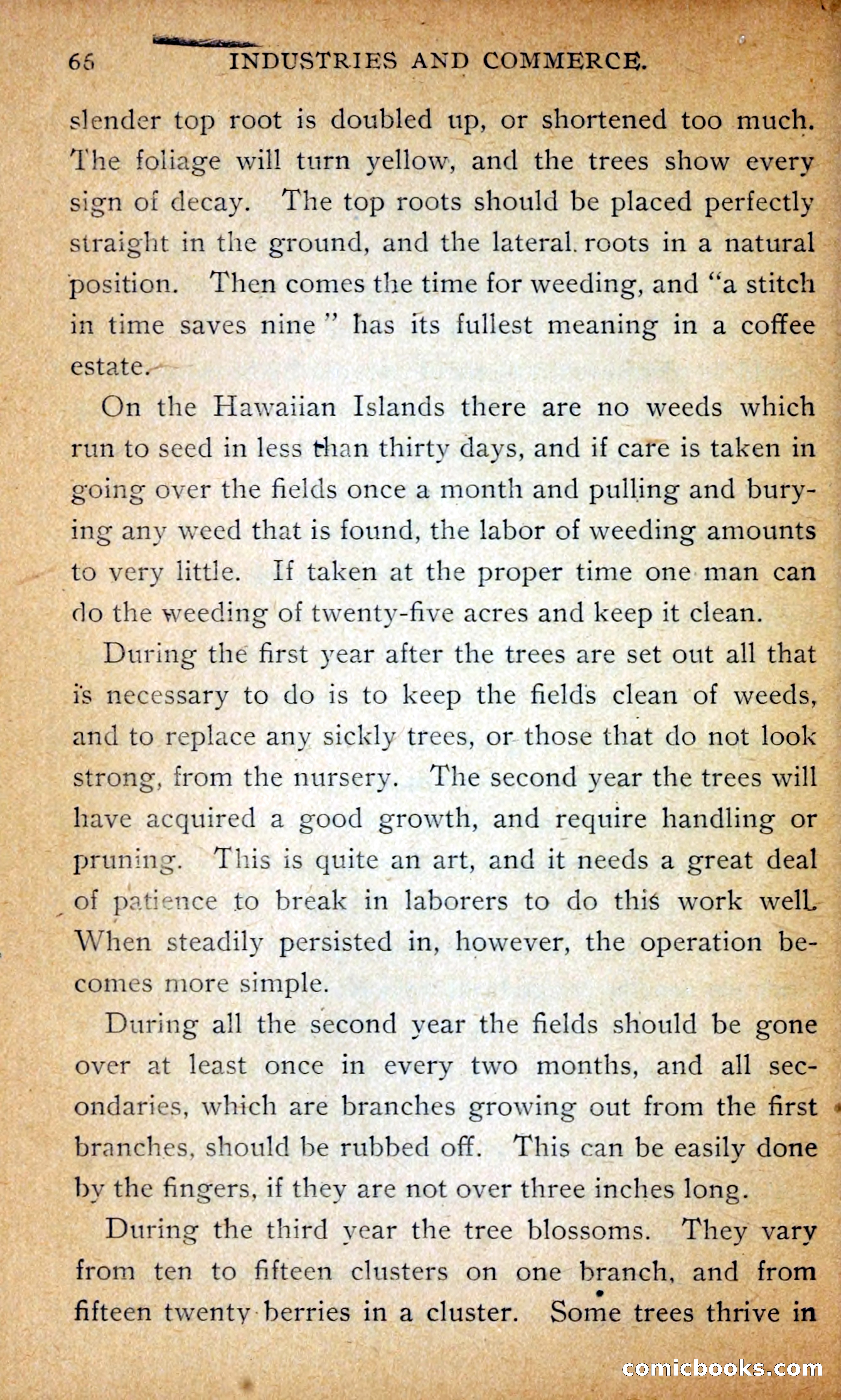 Hawaii — page 75 of 214