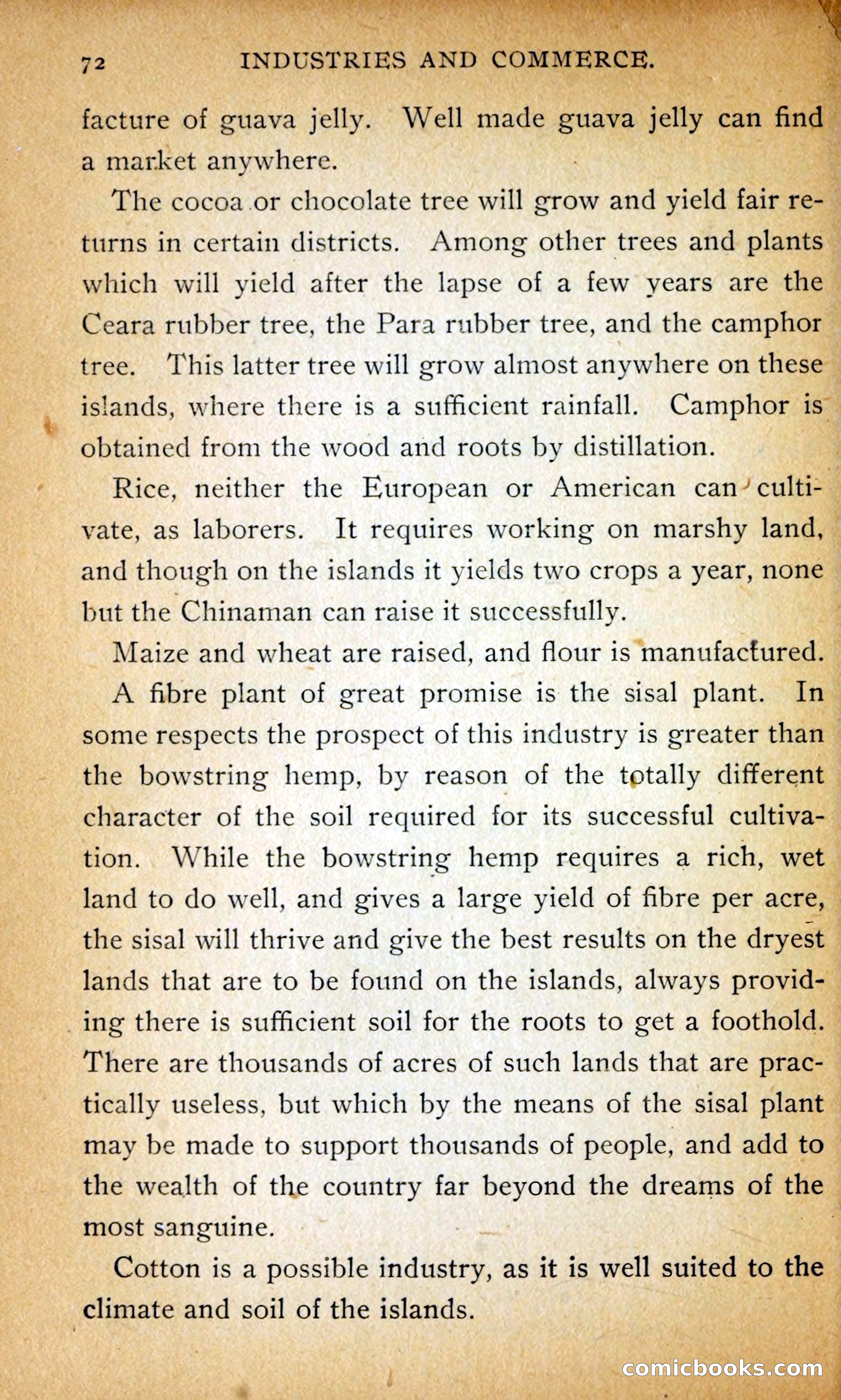 Hawaii — page 81 of 214