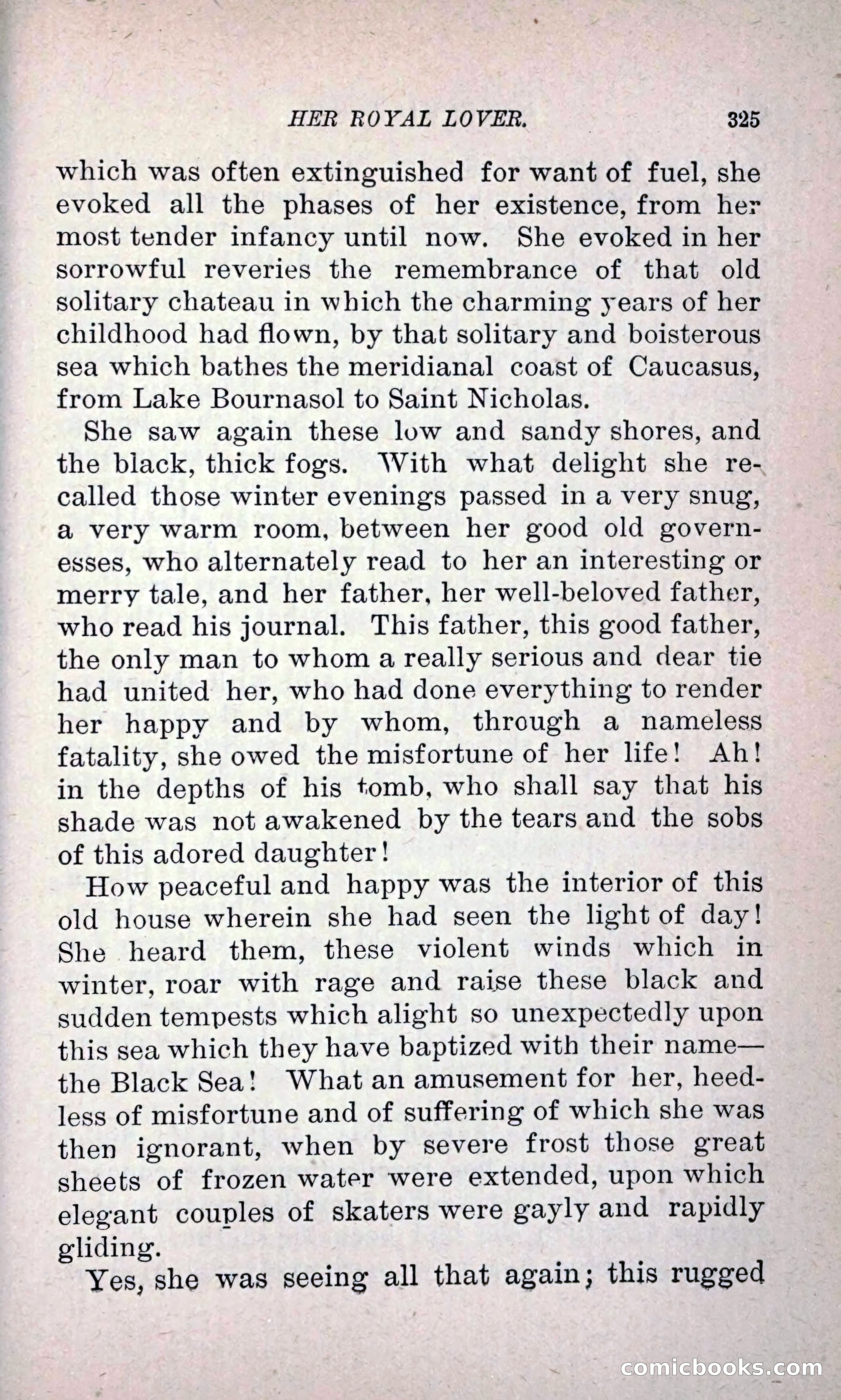 Her Royal Lover: A Novel — page 333 of 364
