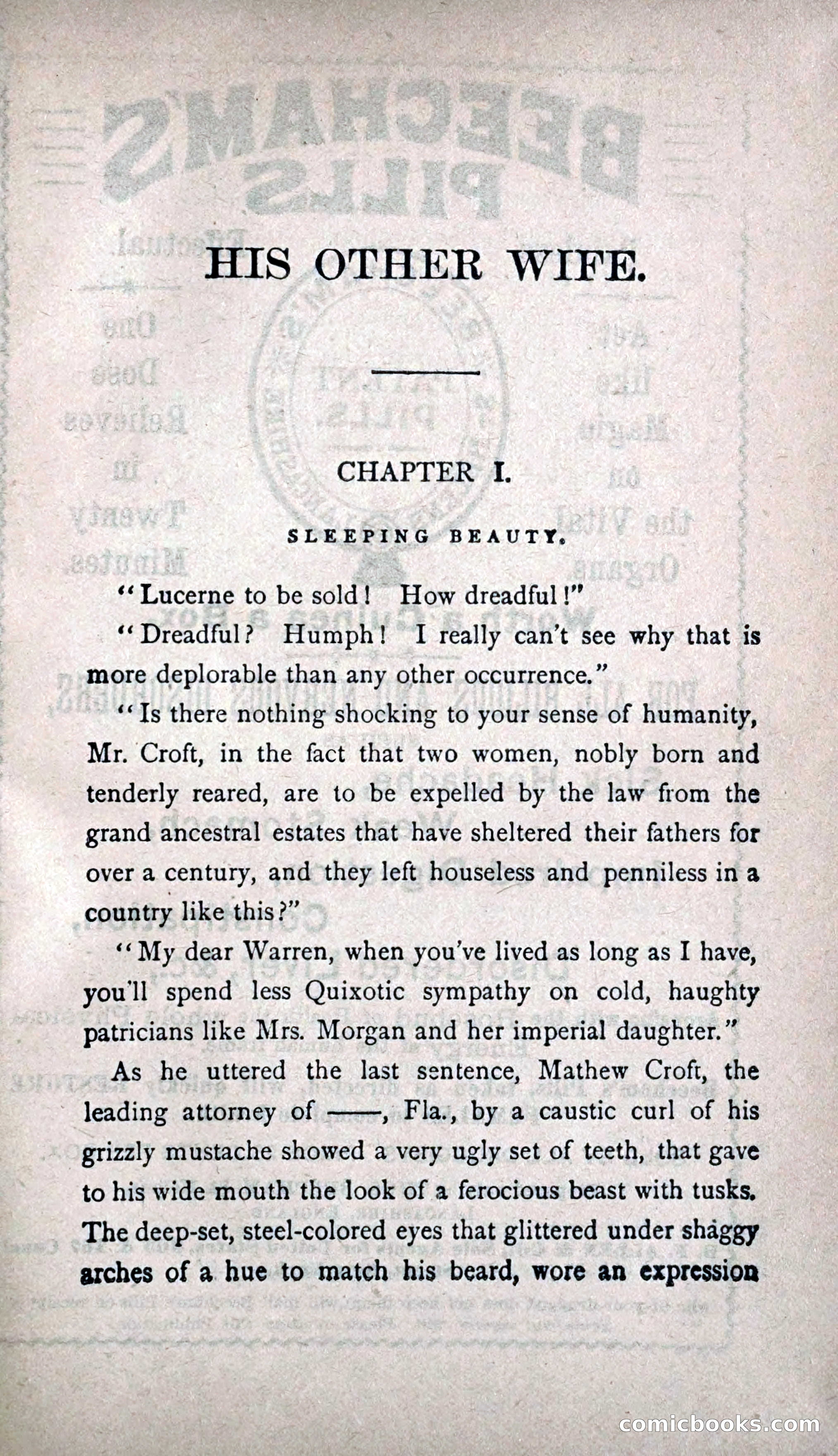 His Other Wife: A Novel — page 17 of 394