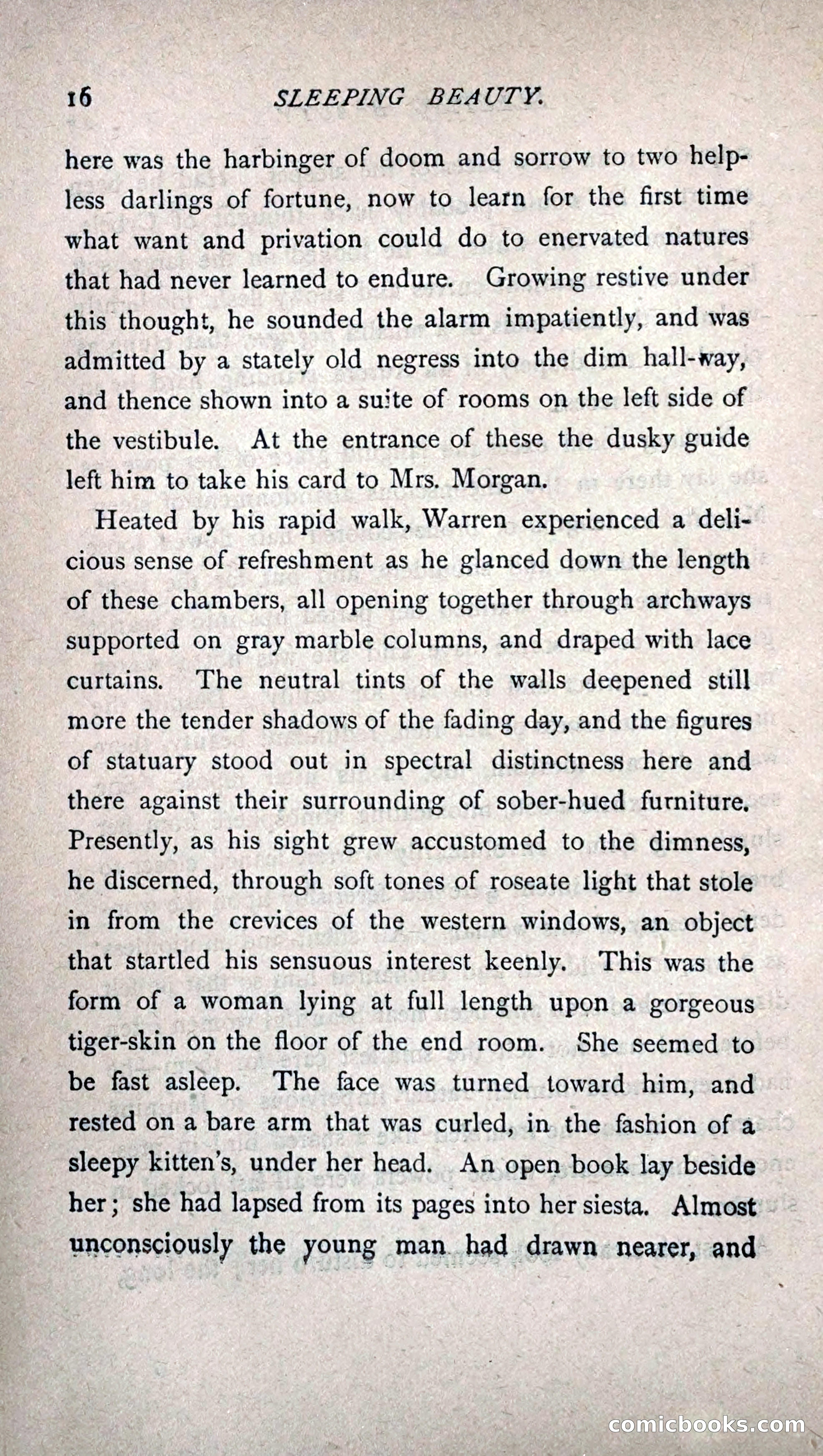 His Other Wife: A Novel — page 24 of 394