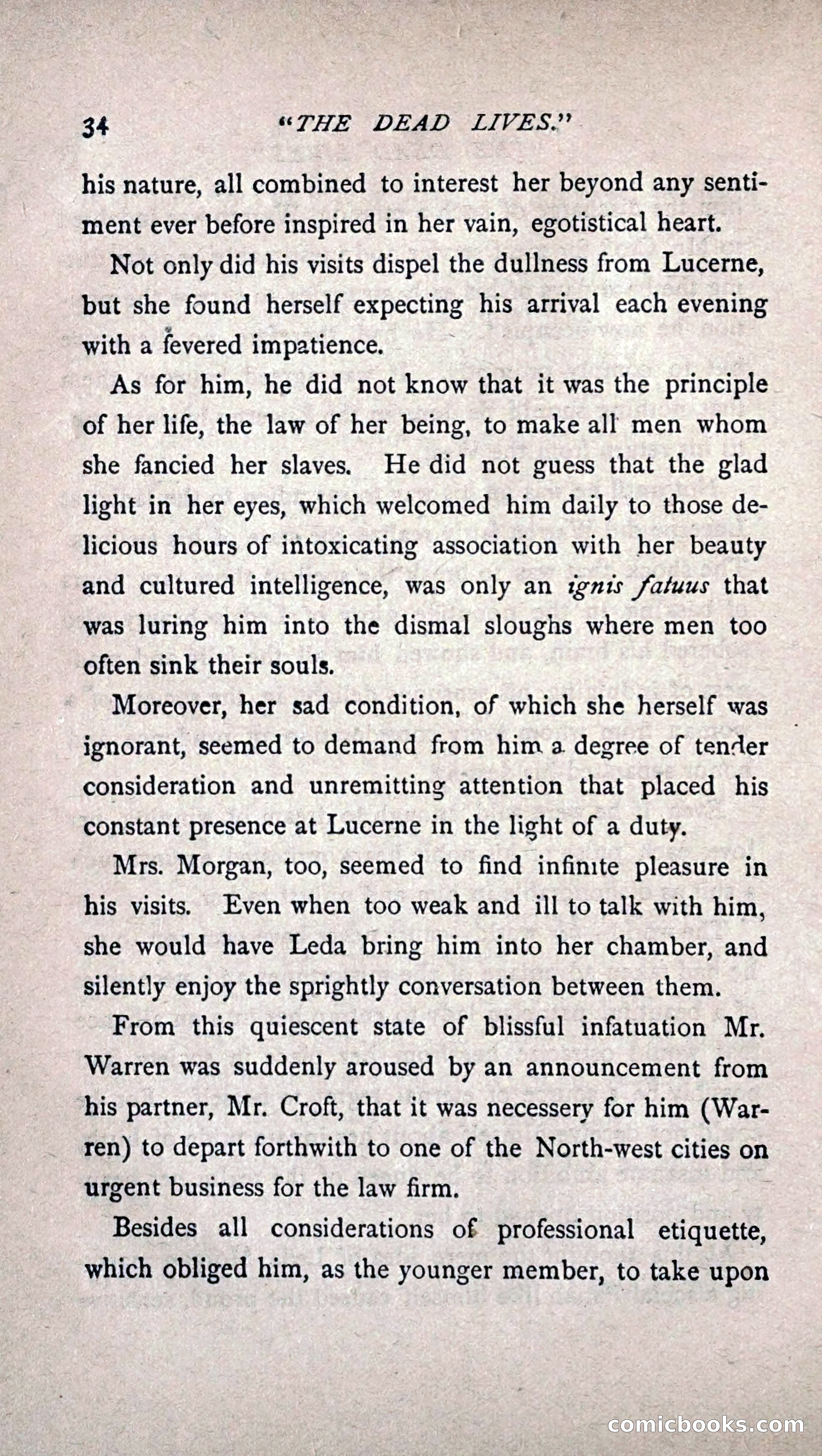 His Other Wife: A Novel — page 42 of 394