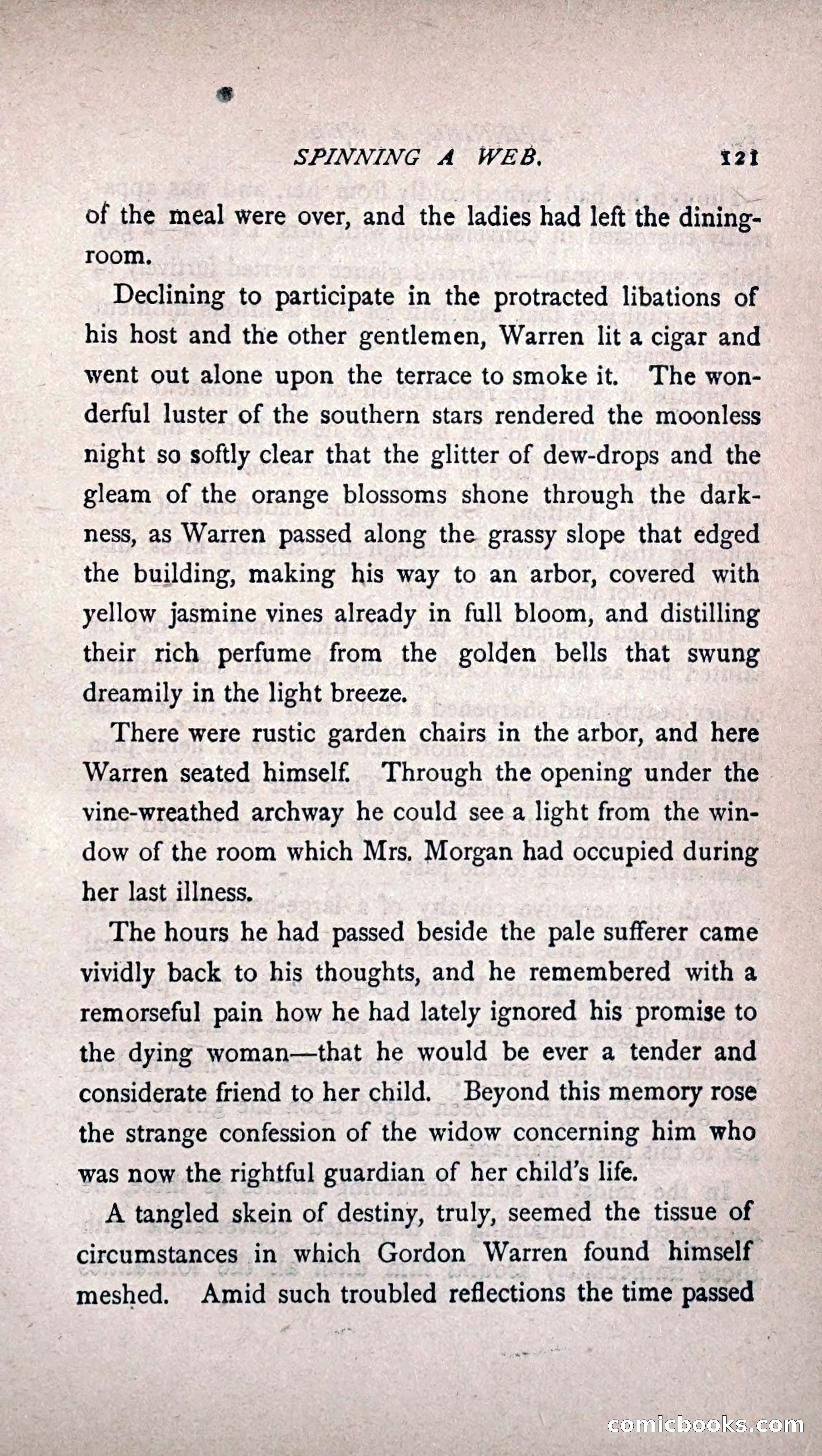 His Other Wife: A Novel — page 129 of 394