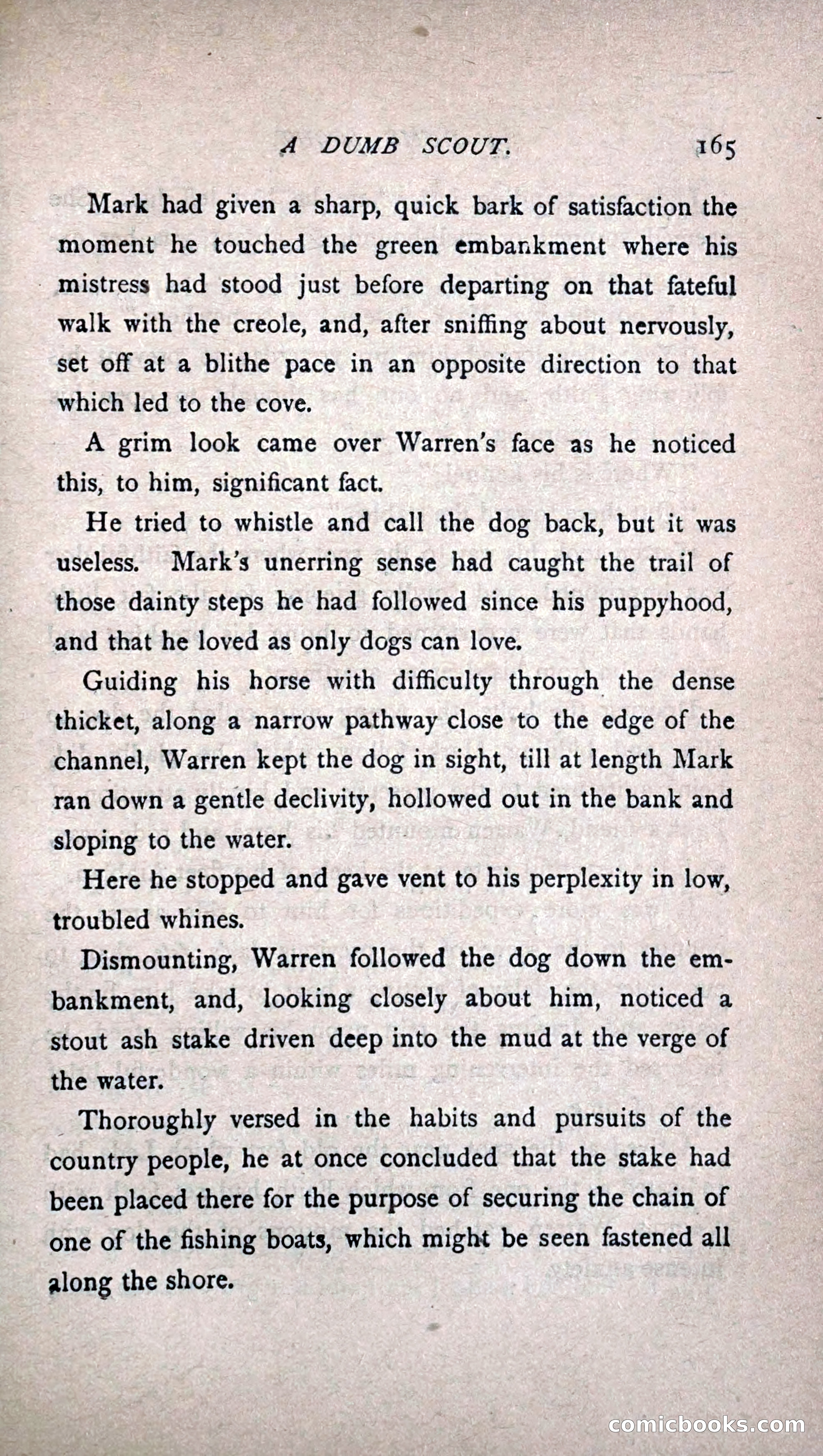 His Other Wife: A Novel — page 173 of 394