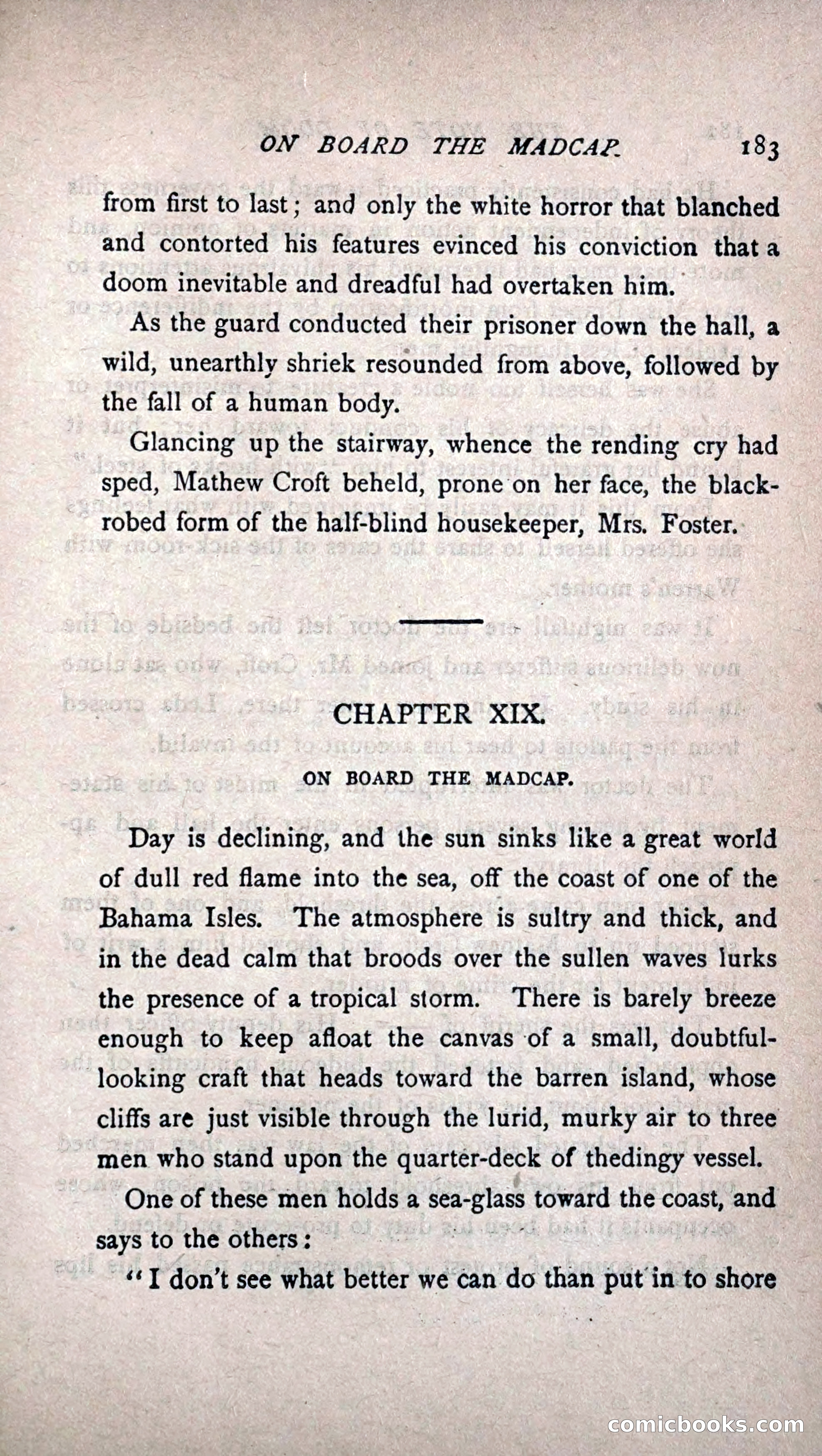 His Other Wife: A Novel — page 191 of 394