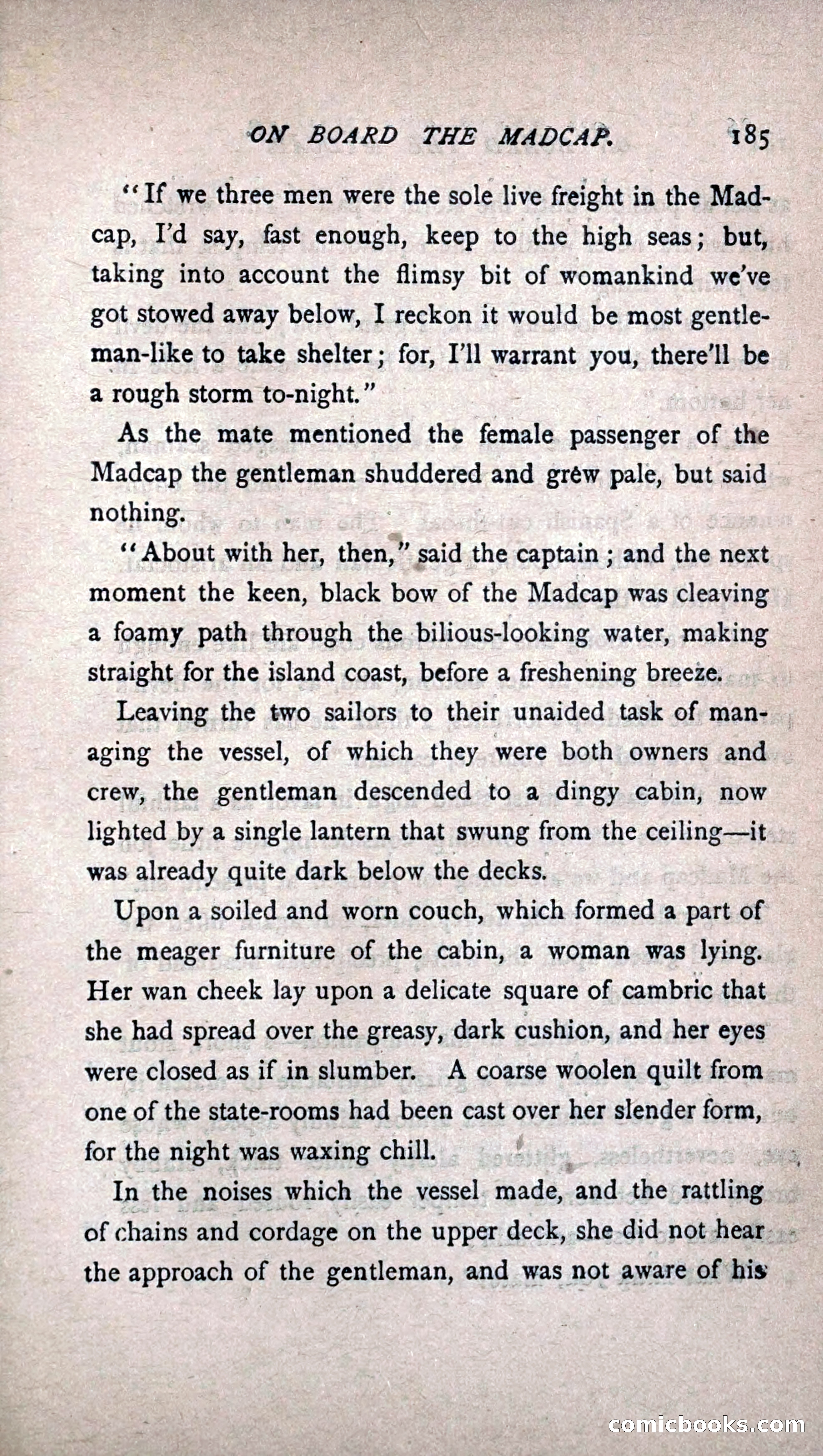 His Other Wife: A Novel — page 193 of 394
