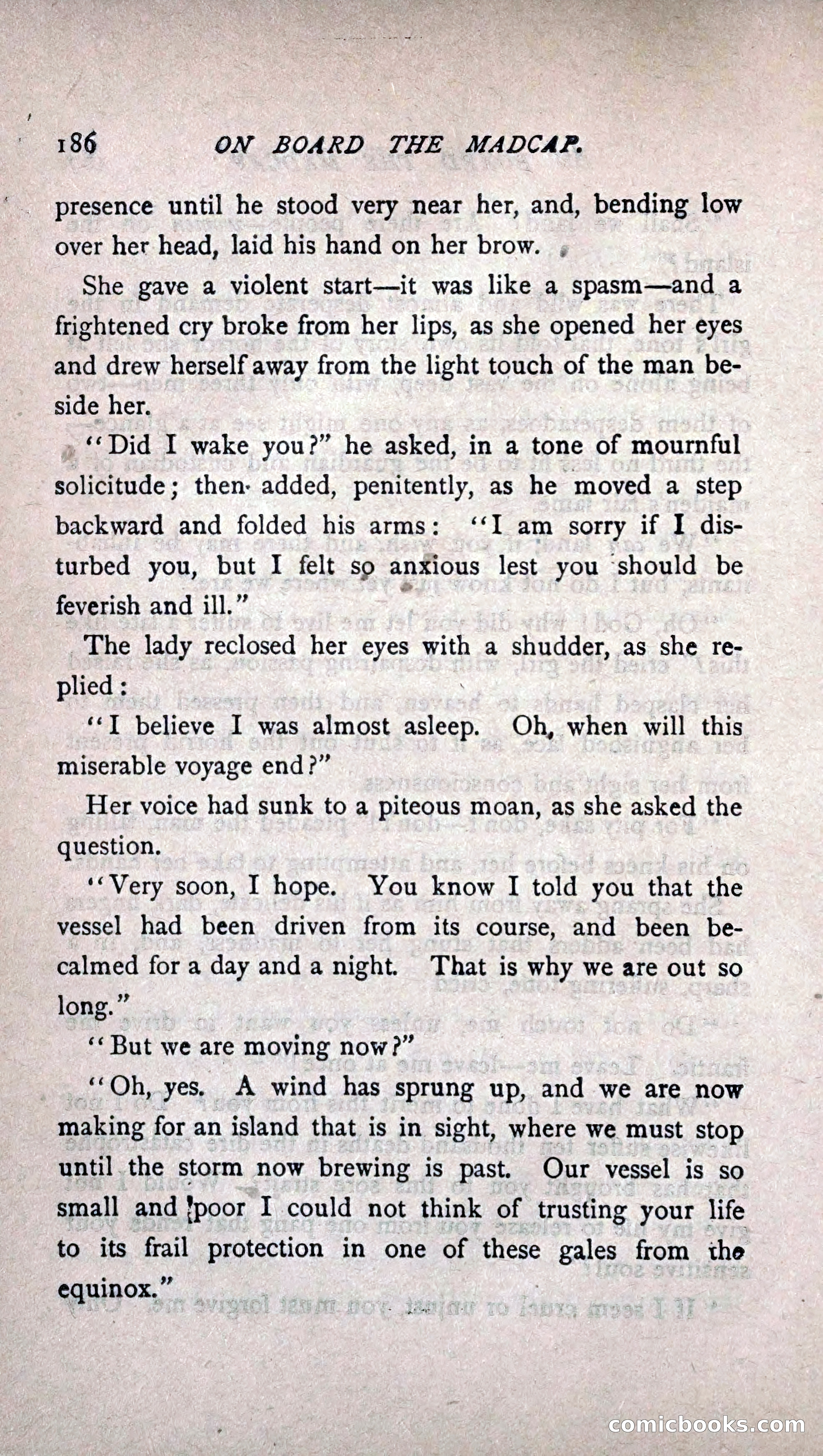 His Other Wife: A Novel — page 194 of 394
