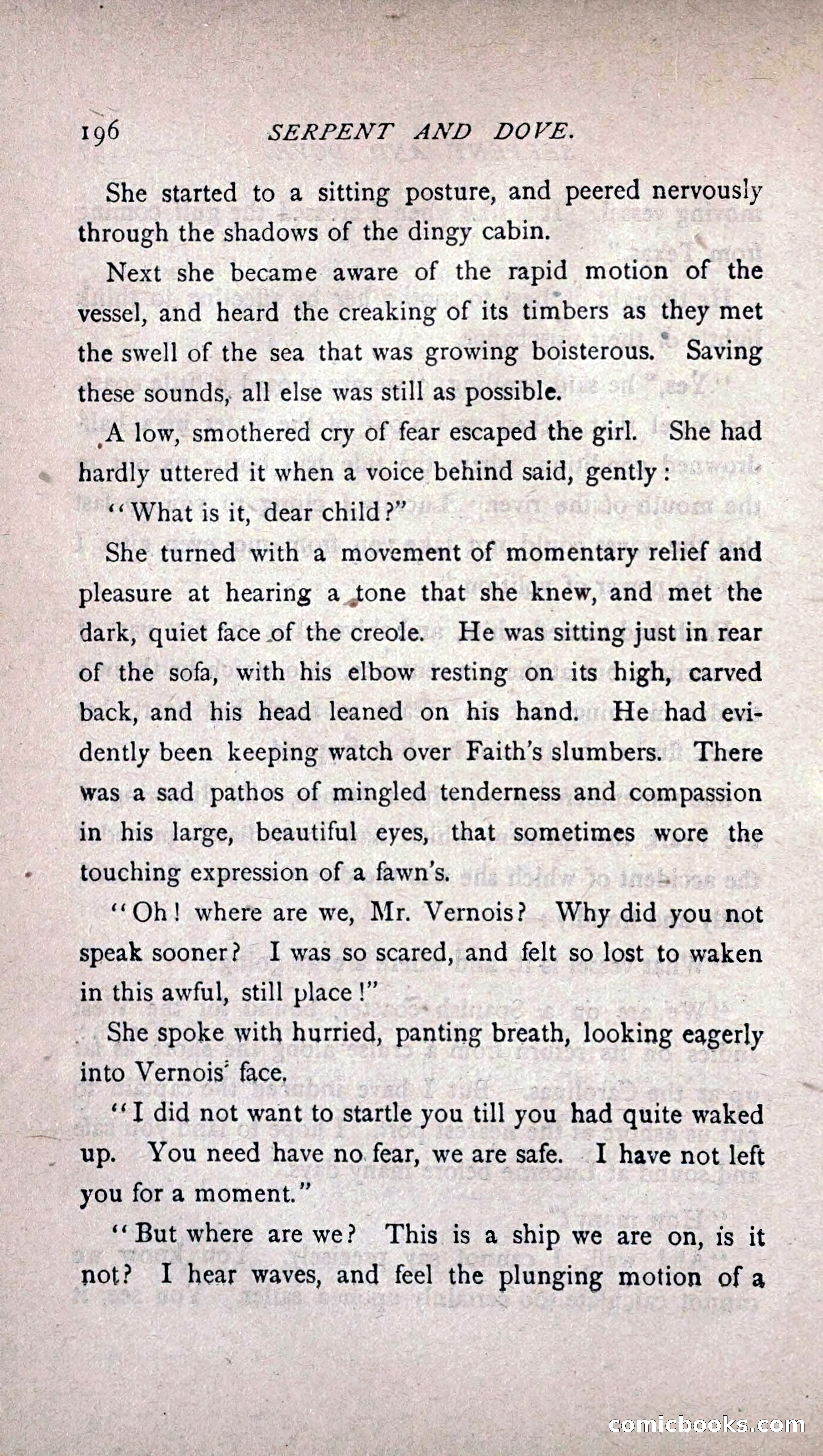 His Other Wife: A Novel — page 204 of 394