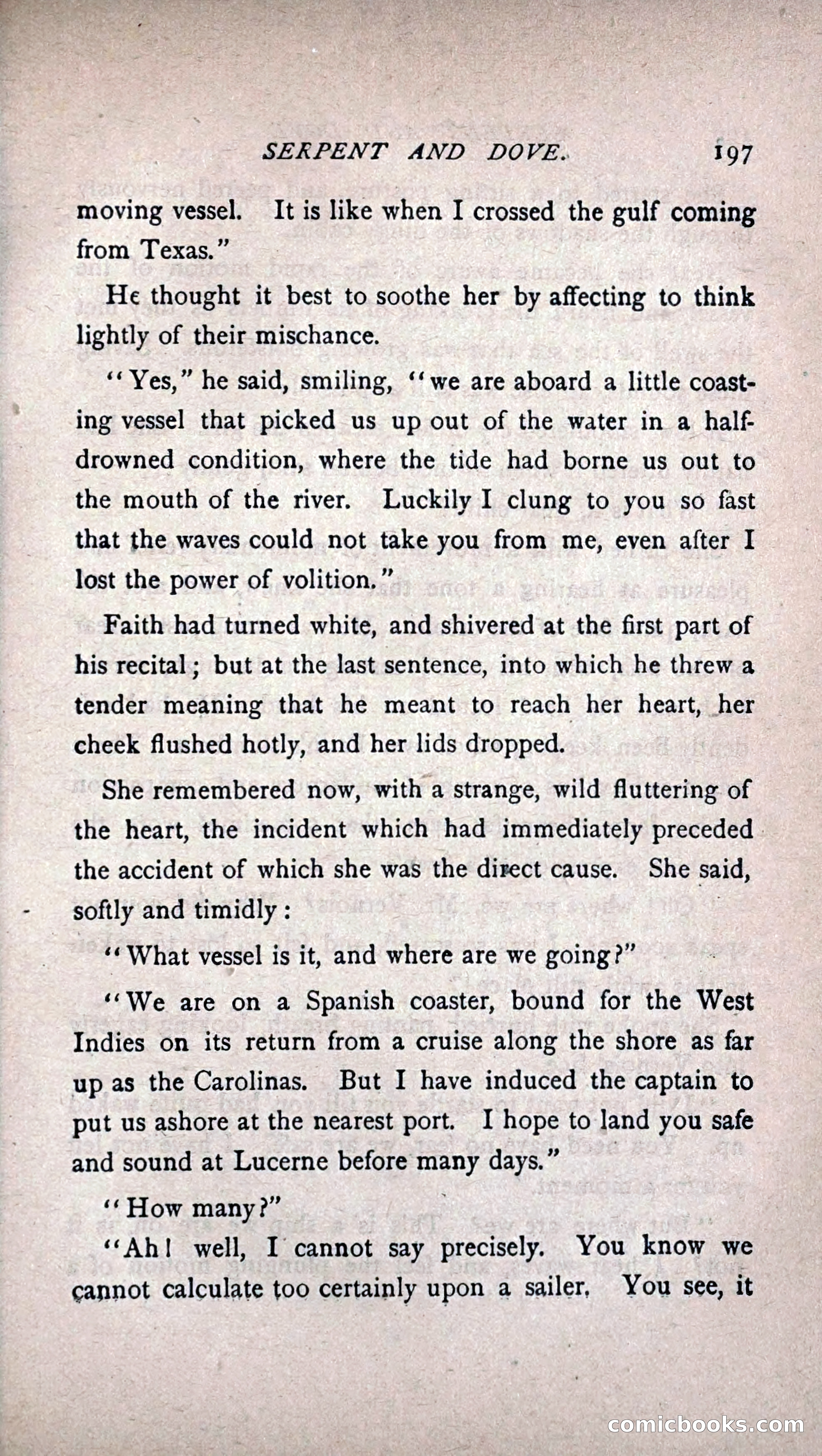 His Other Wife: A Novel — page 205 of 394