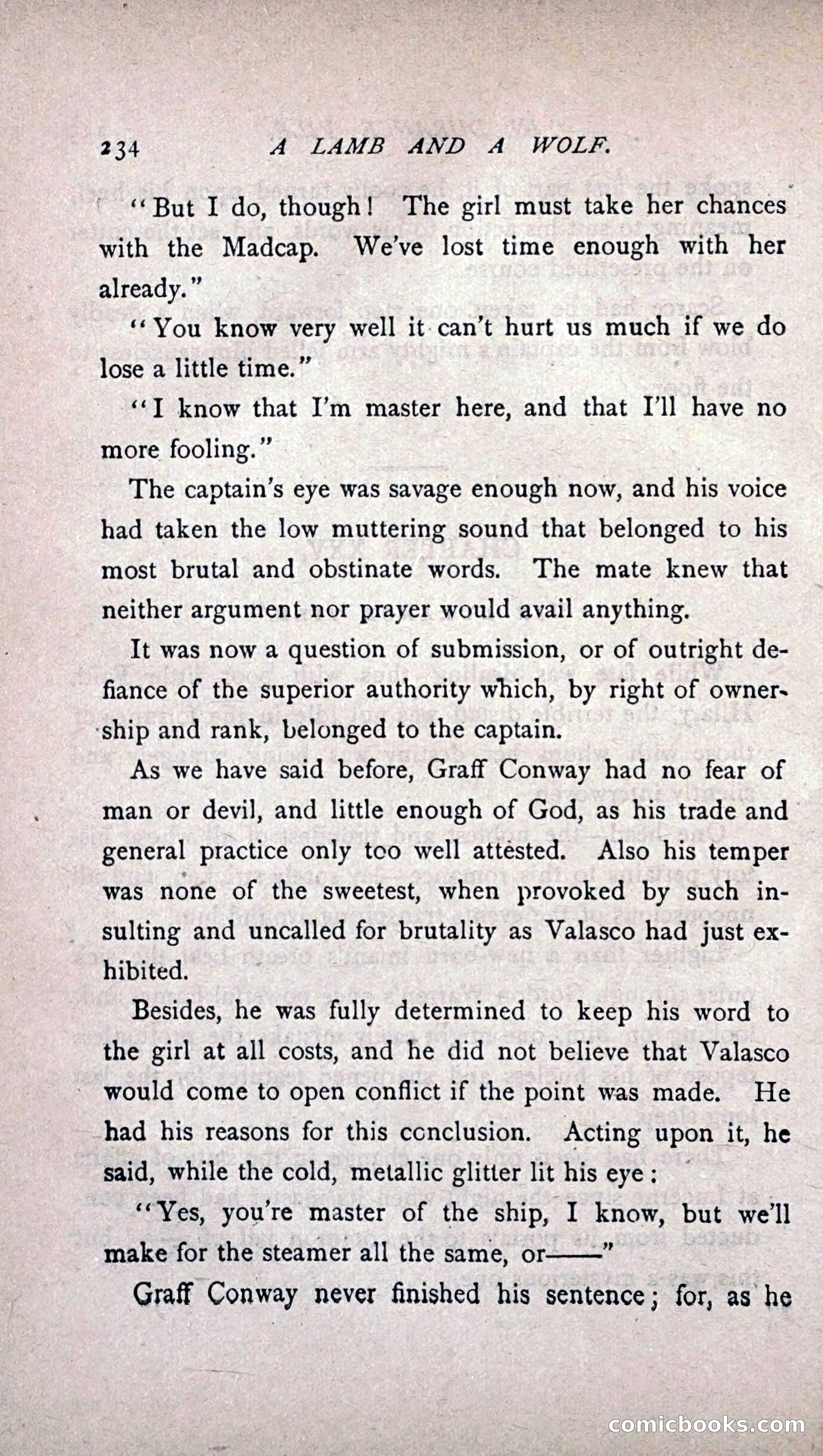His Other Wife: A Novel — page 242 of 394
