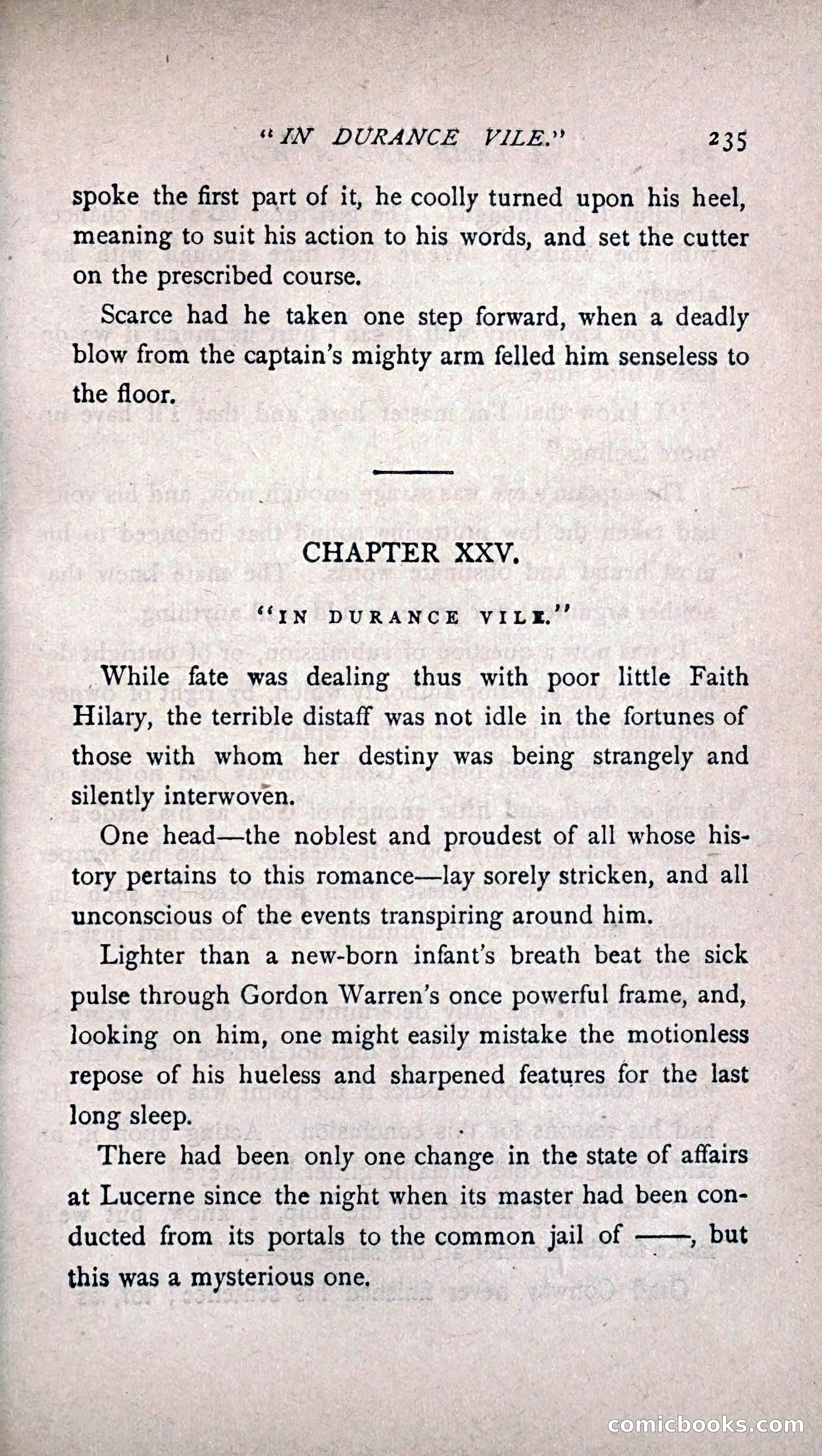 His Other Wife: A Novel — page 243 of 394