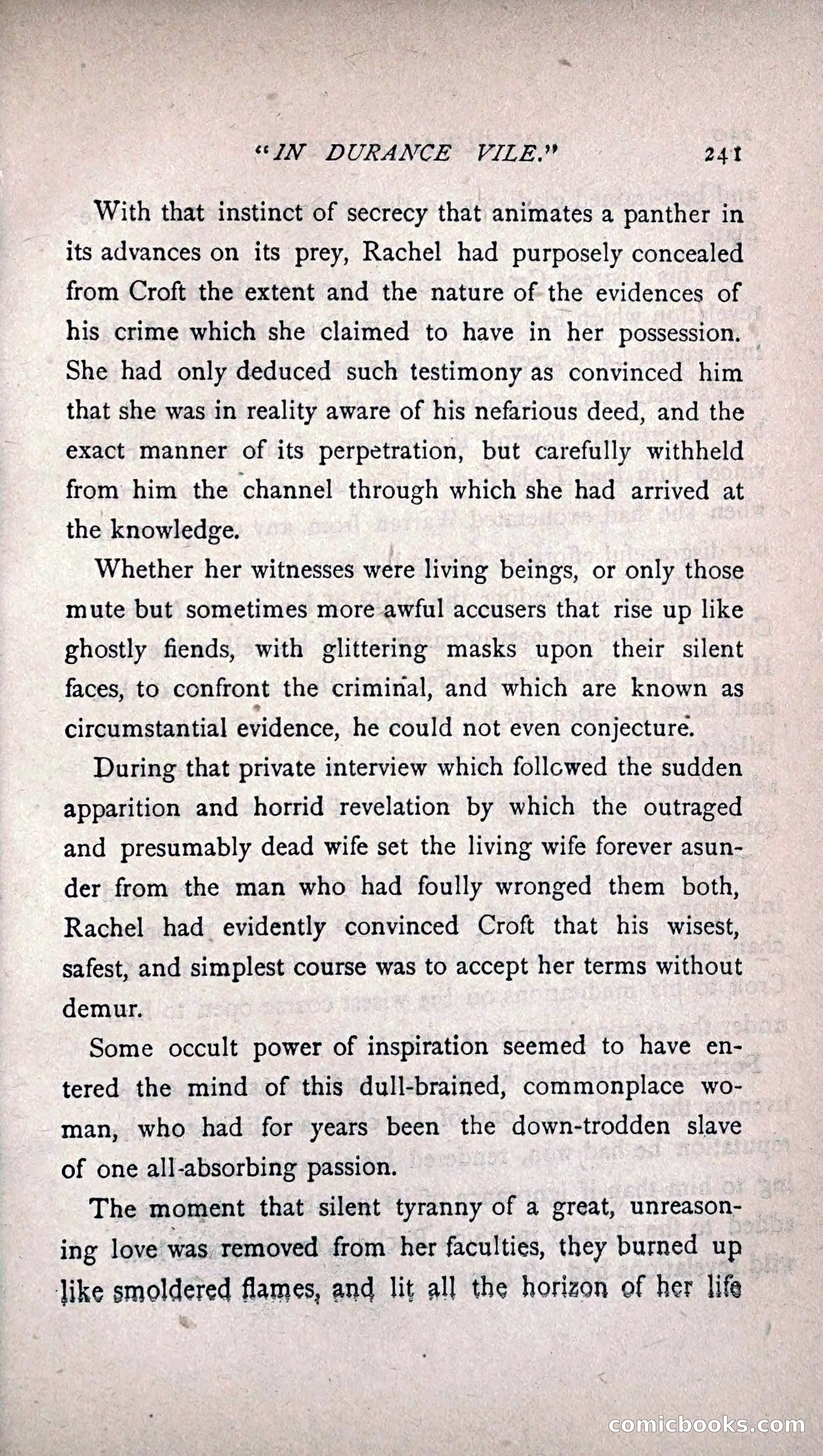 His Other Wife: A Novel — page 249 of 394