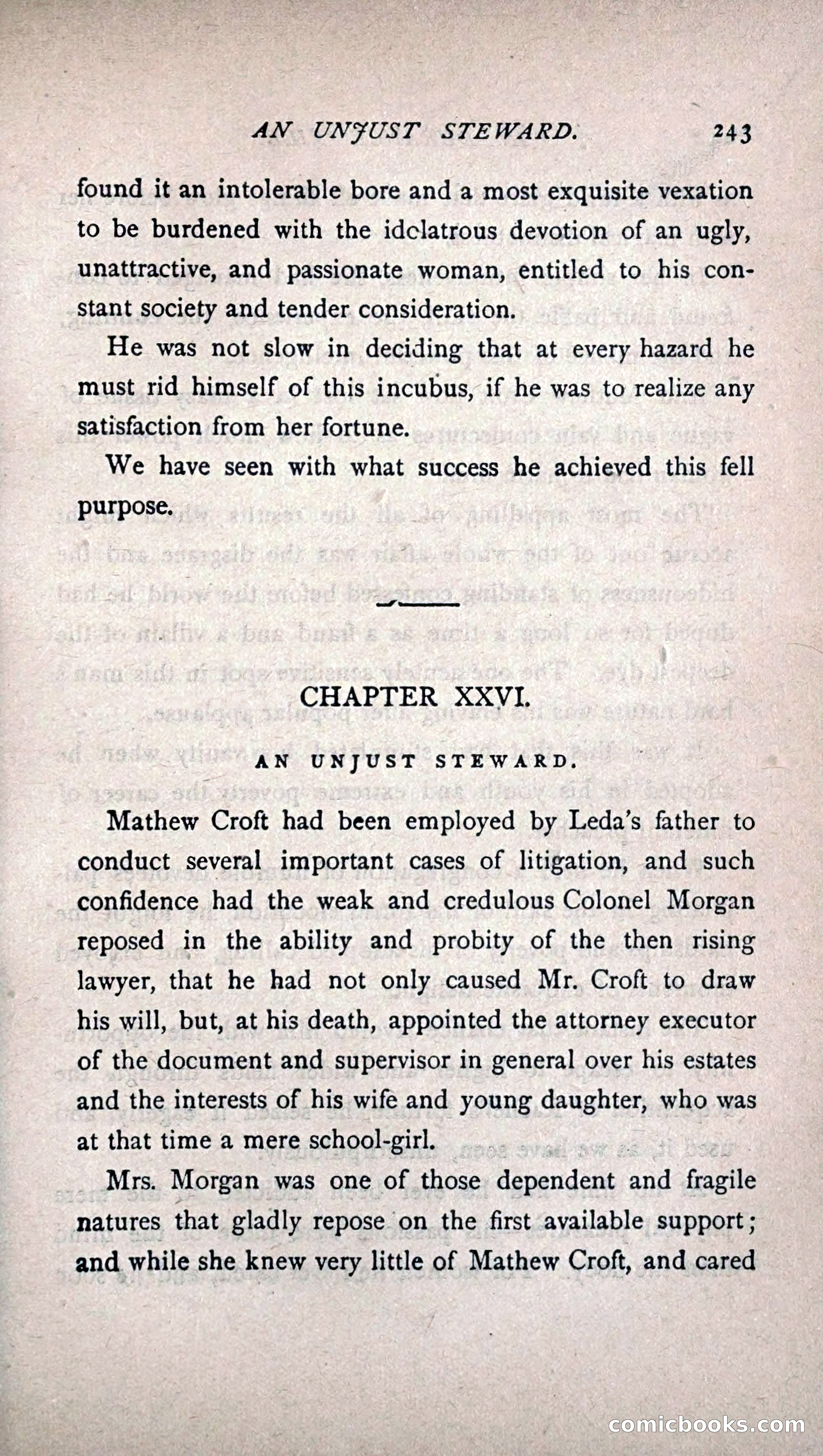 His Other Wife: A Novel — page 251 of 394