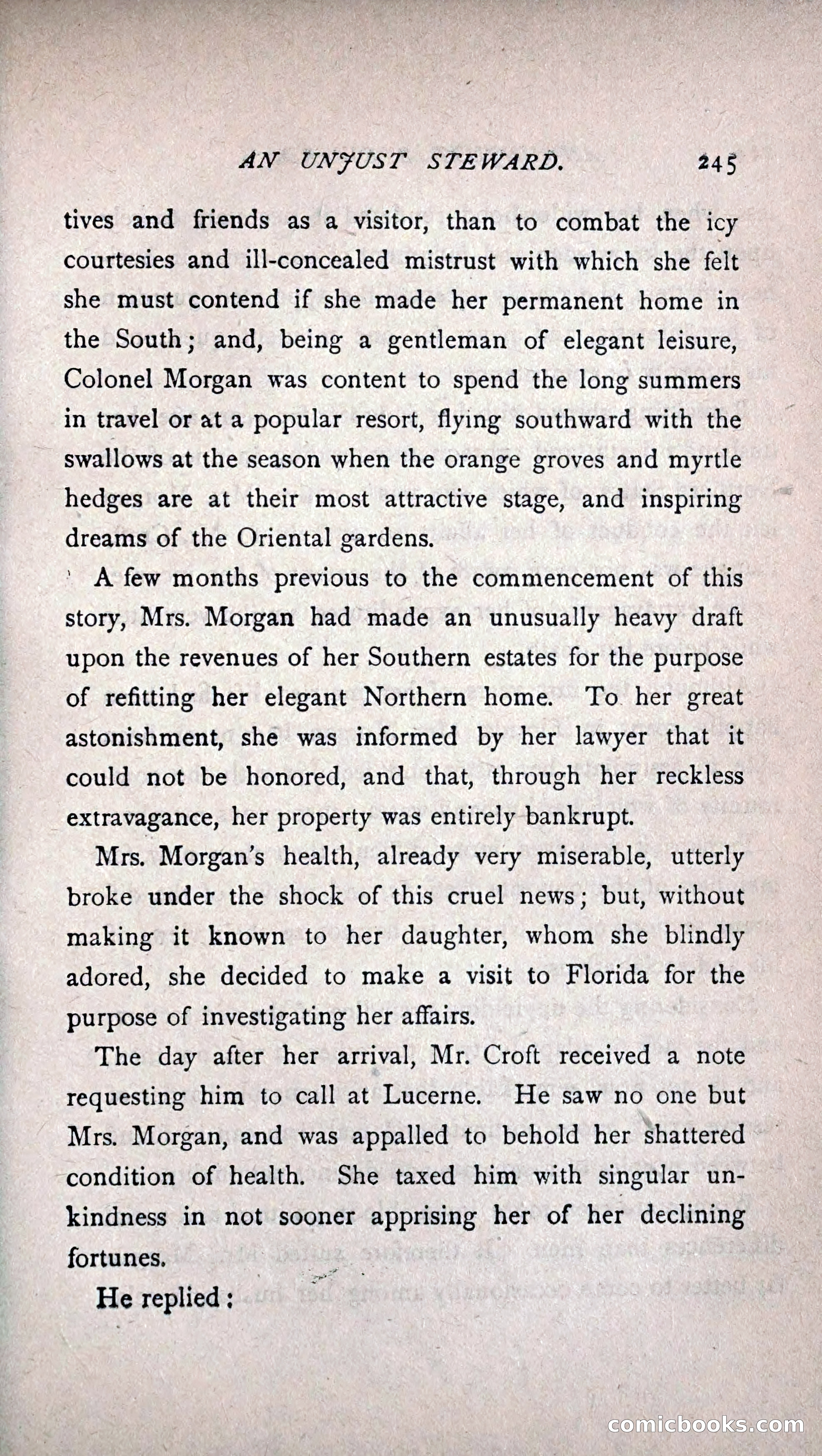 His Other Wife: A Novel — page 253 of 394
