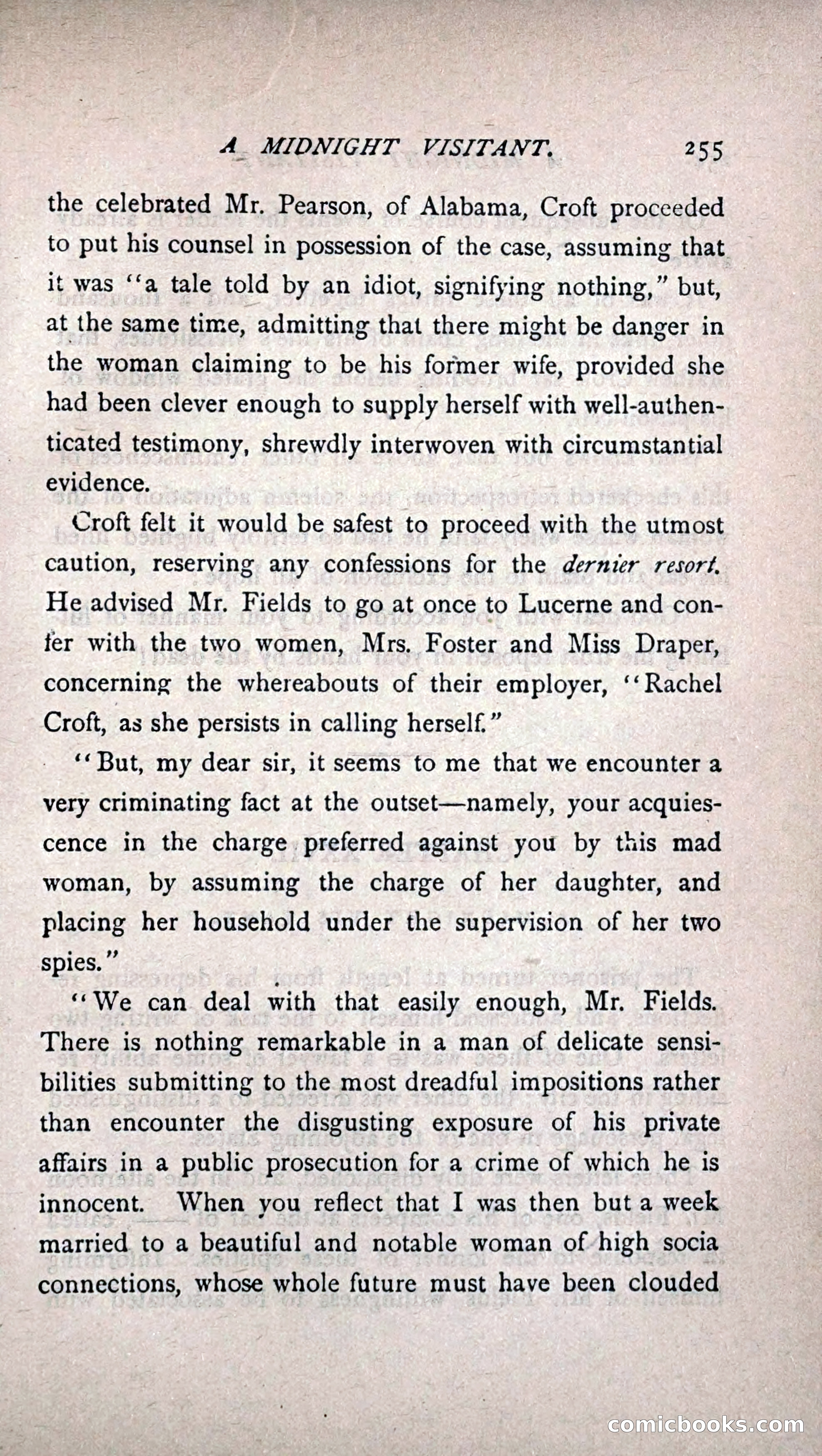 His Other Wife: A Novel — page 263 of 394