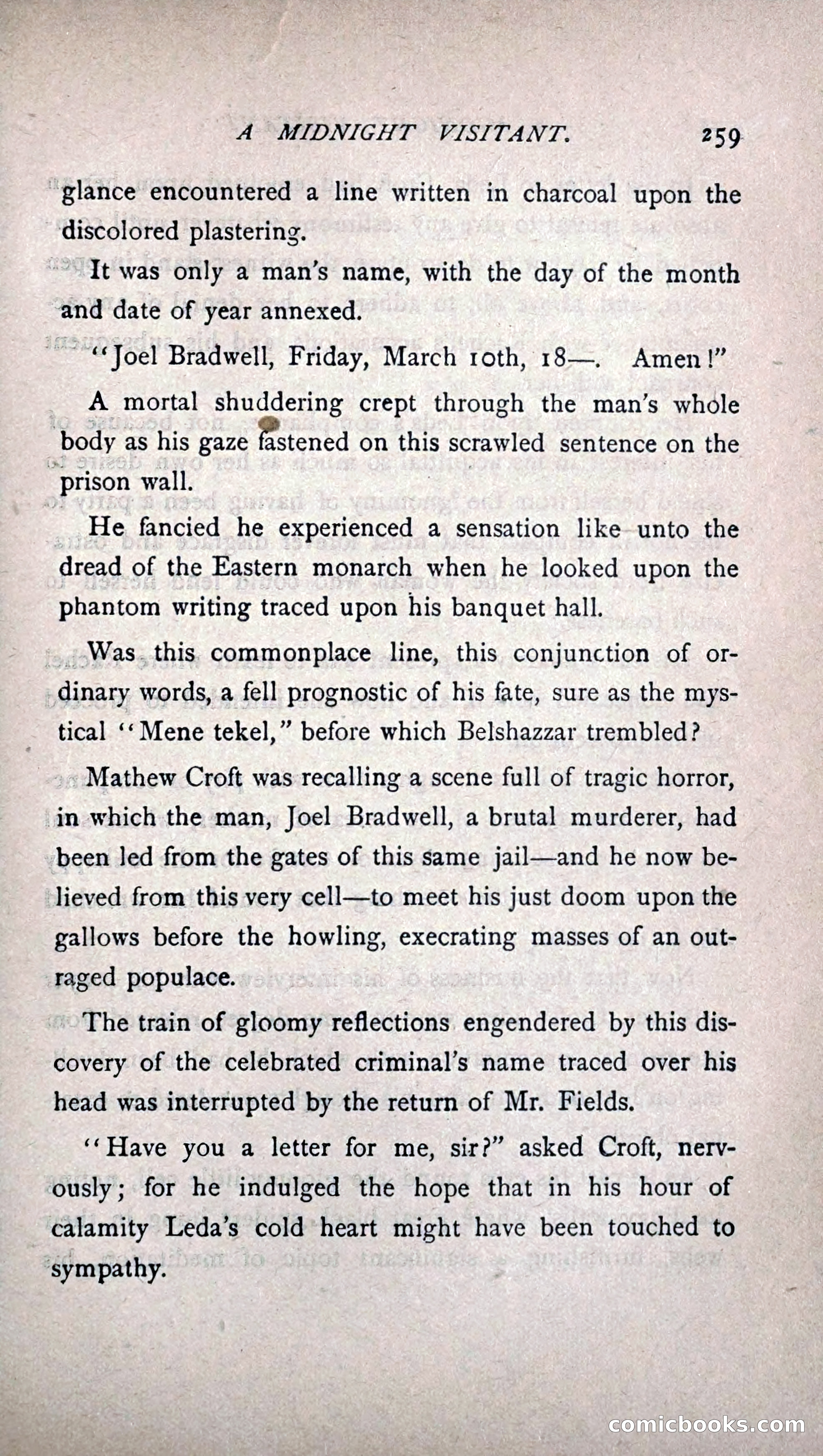 His Other Wife: A Novel — page 267 of 394