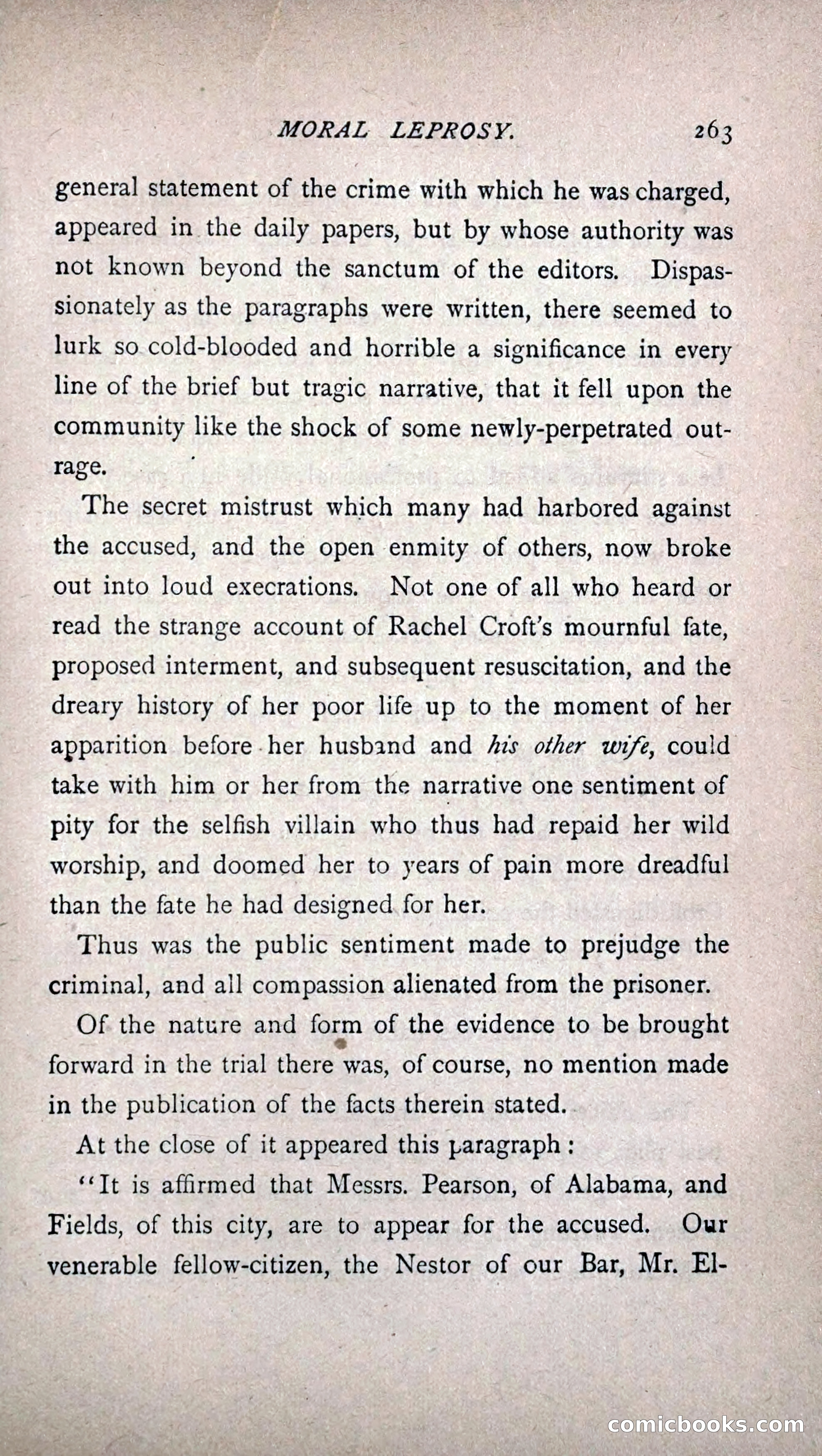 His Other Wife: A Novel — page 271 of 394