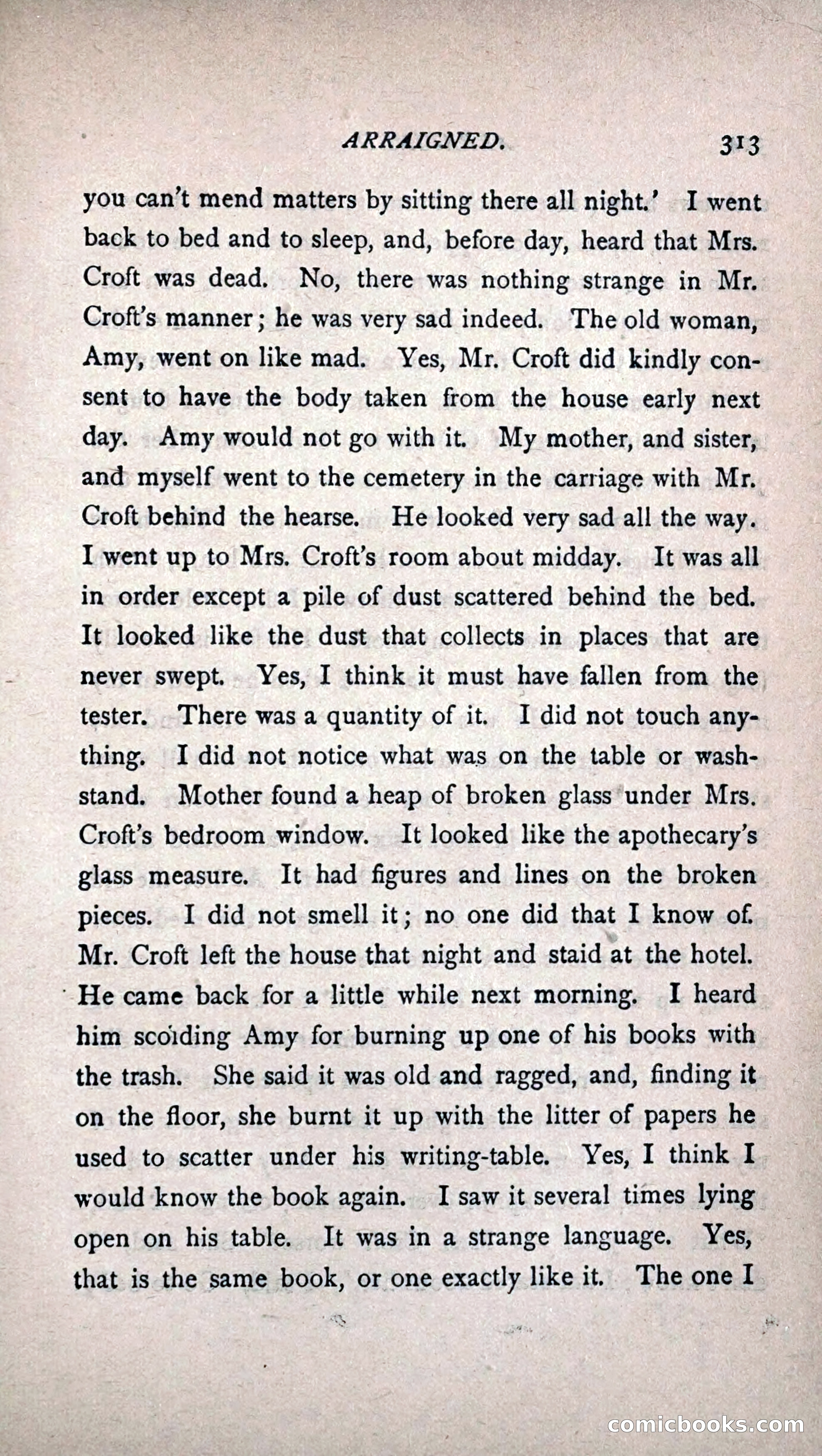 His Other Wife: A Novel — page 321 of 394