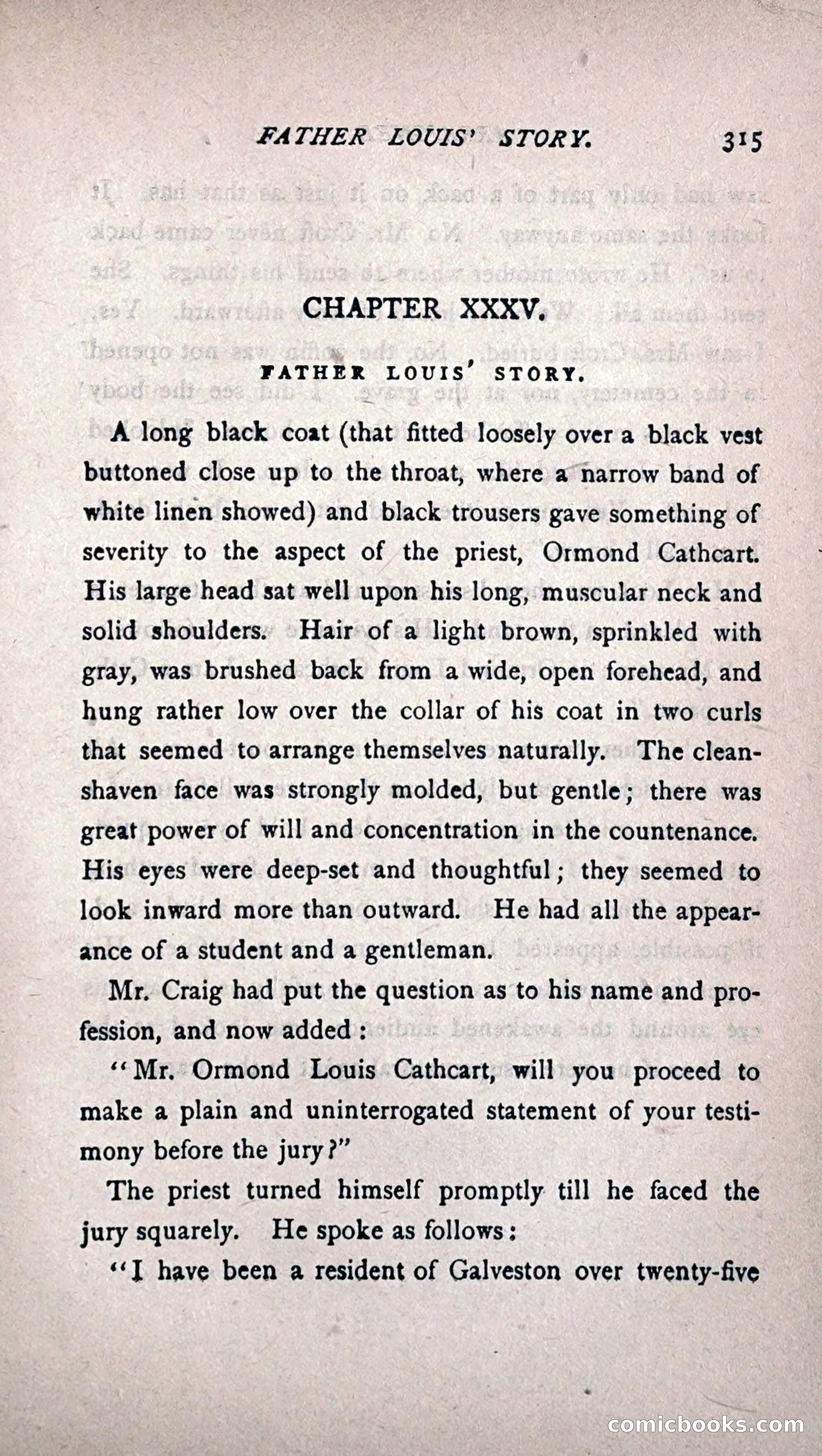 His Other Wife: A Novel — page 323 of 394