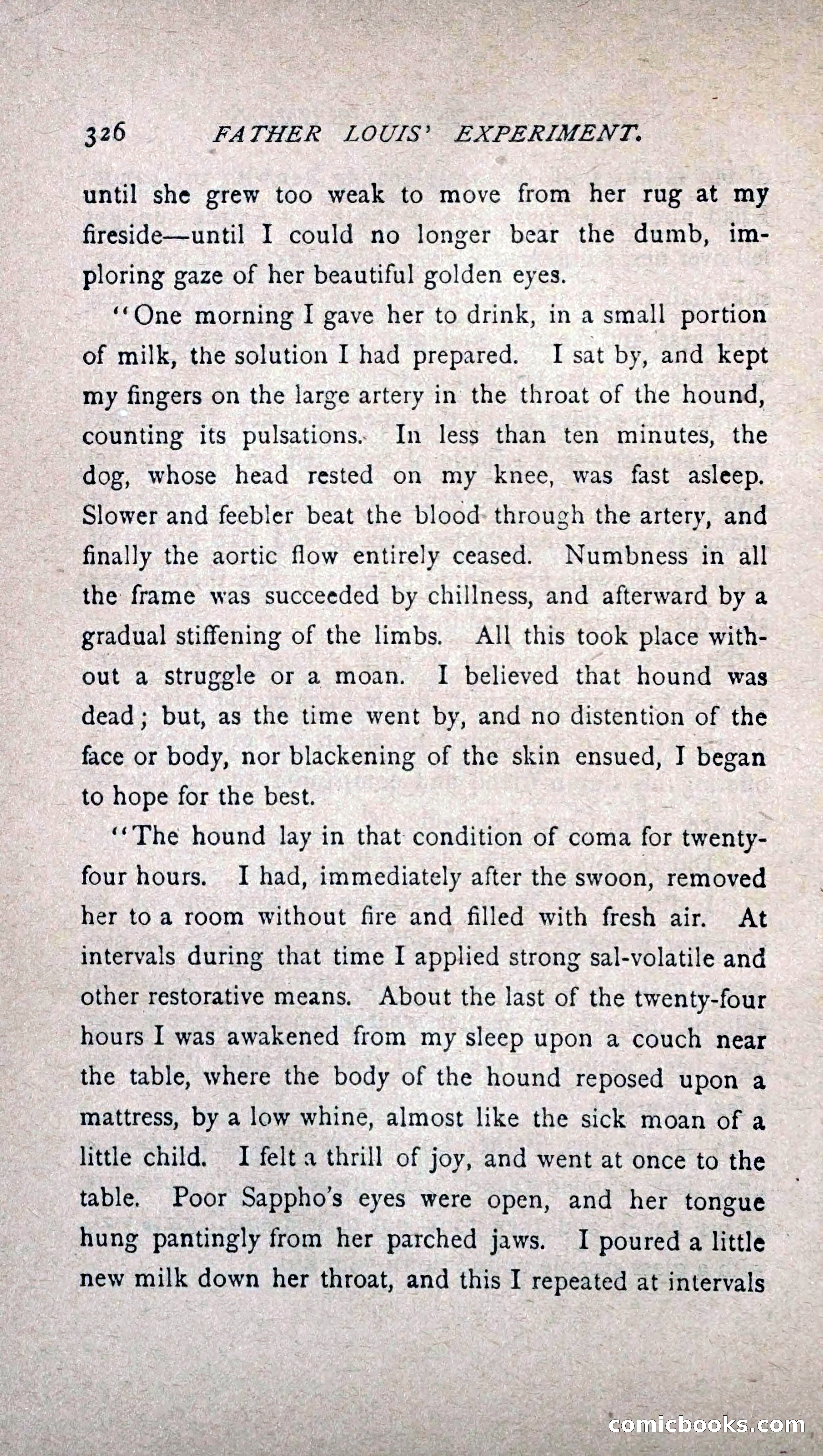 His Other Wife: A Novel — page 334 of 394