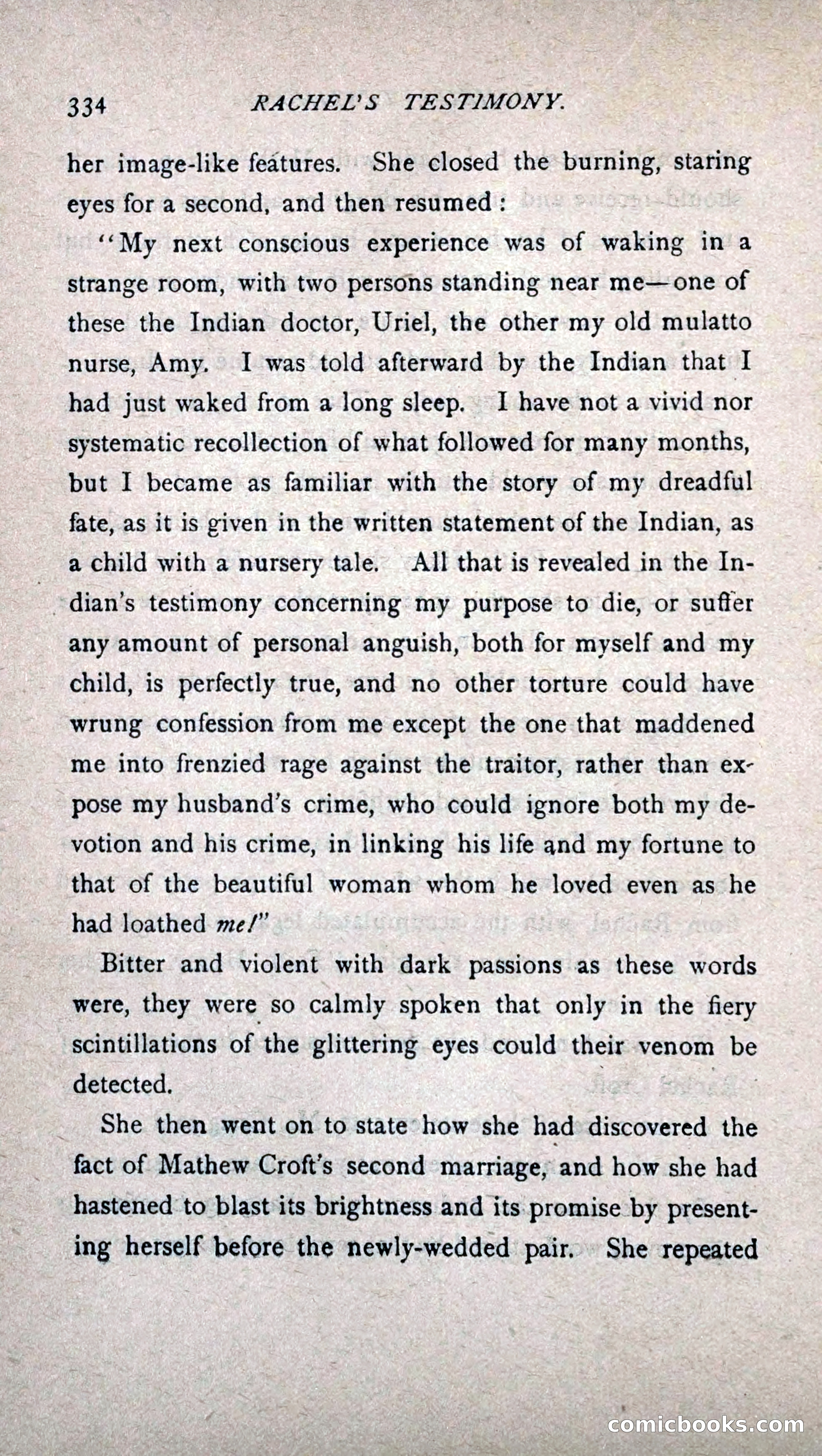 His Other Wife: A Novel — page 342 of 394