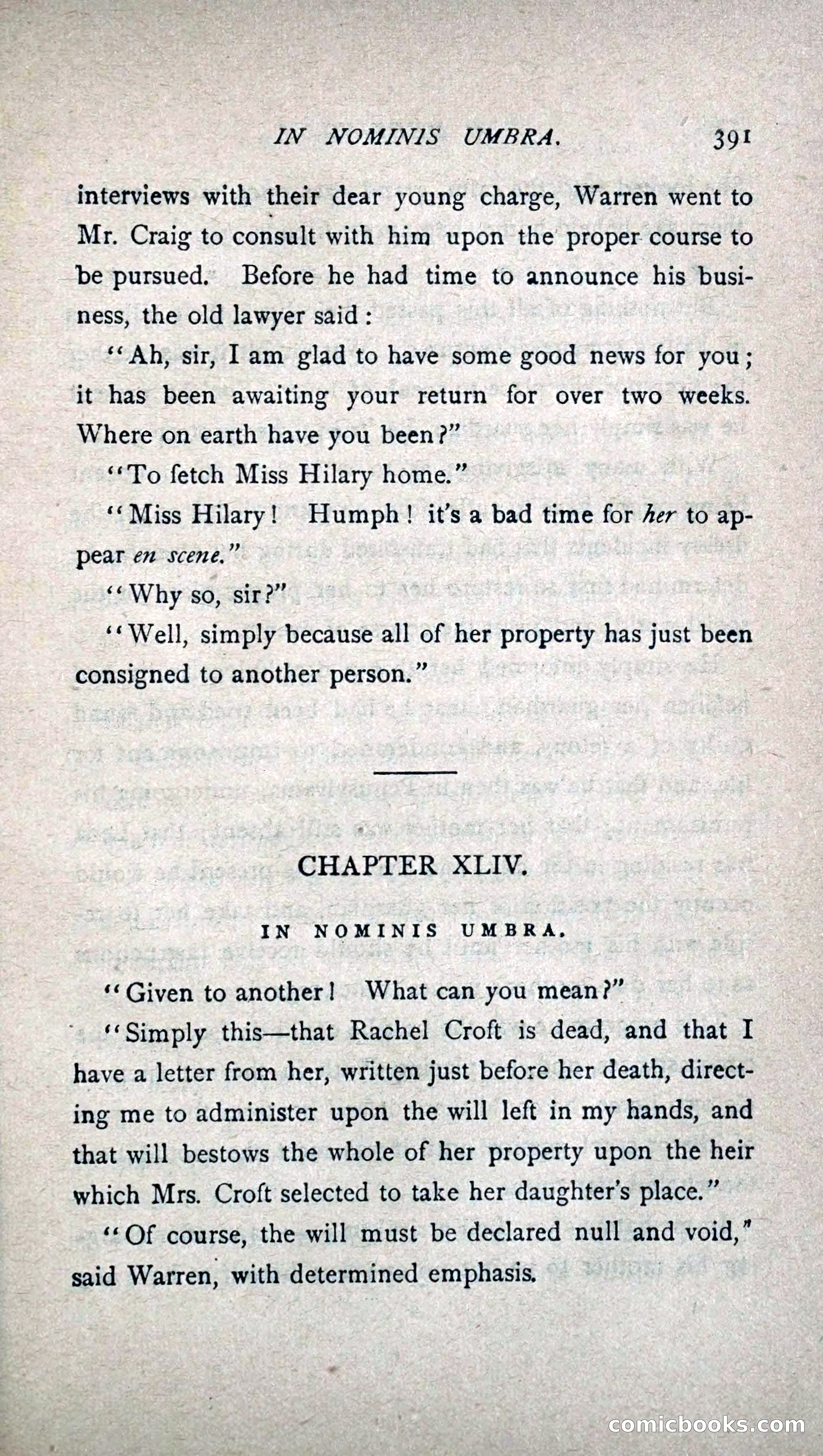 His Other Wife: A Novel — page 399 of 394
