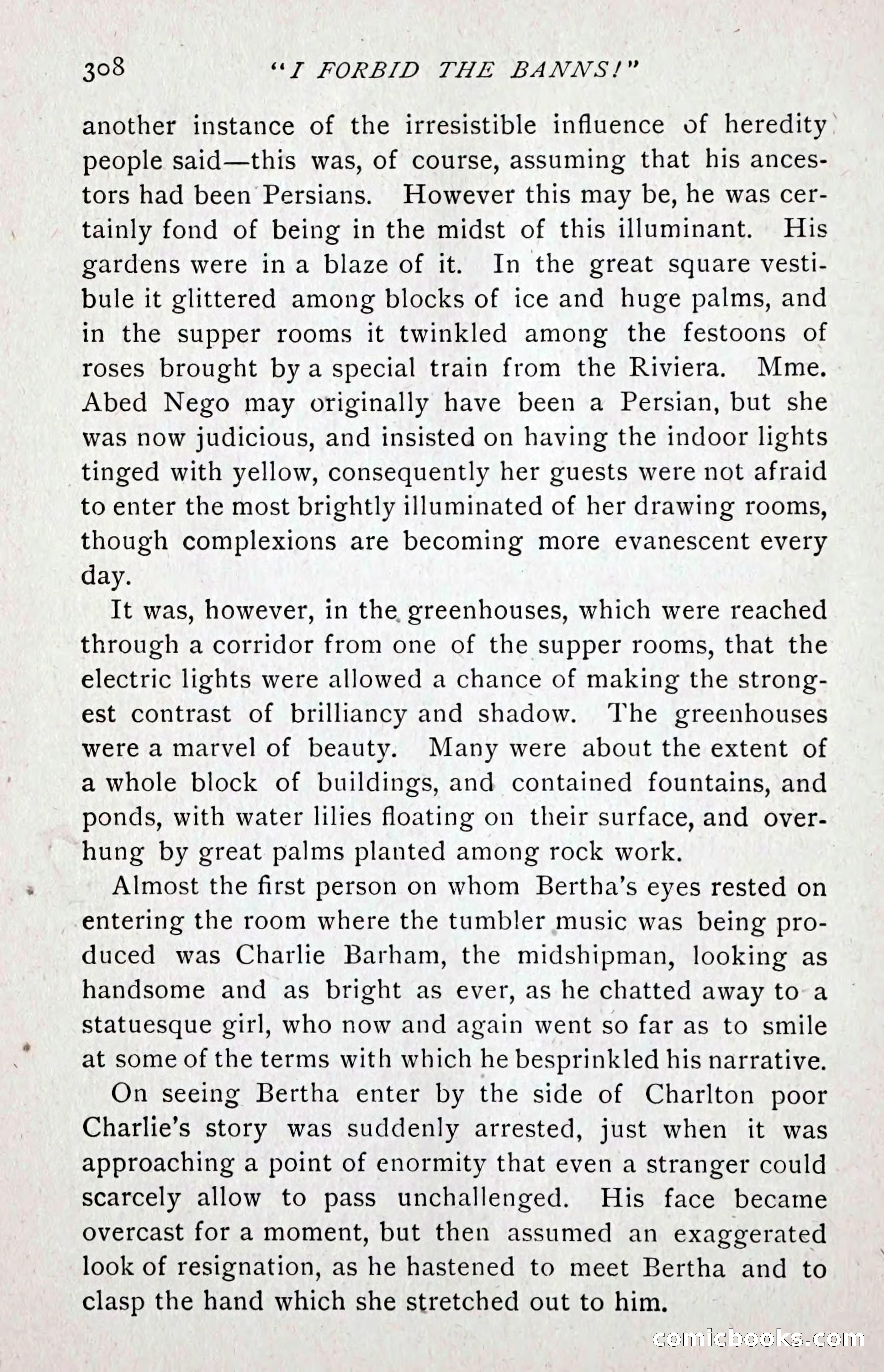 I Forbid the Banns! — page 318 of 400
