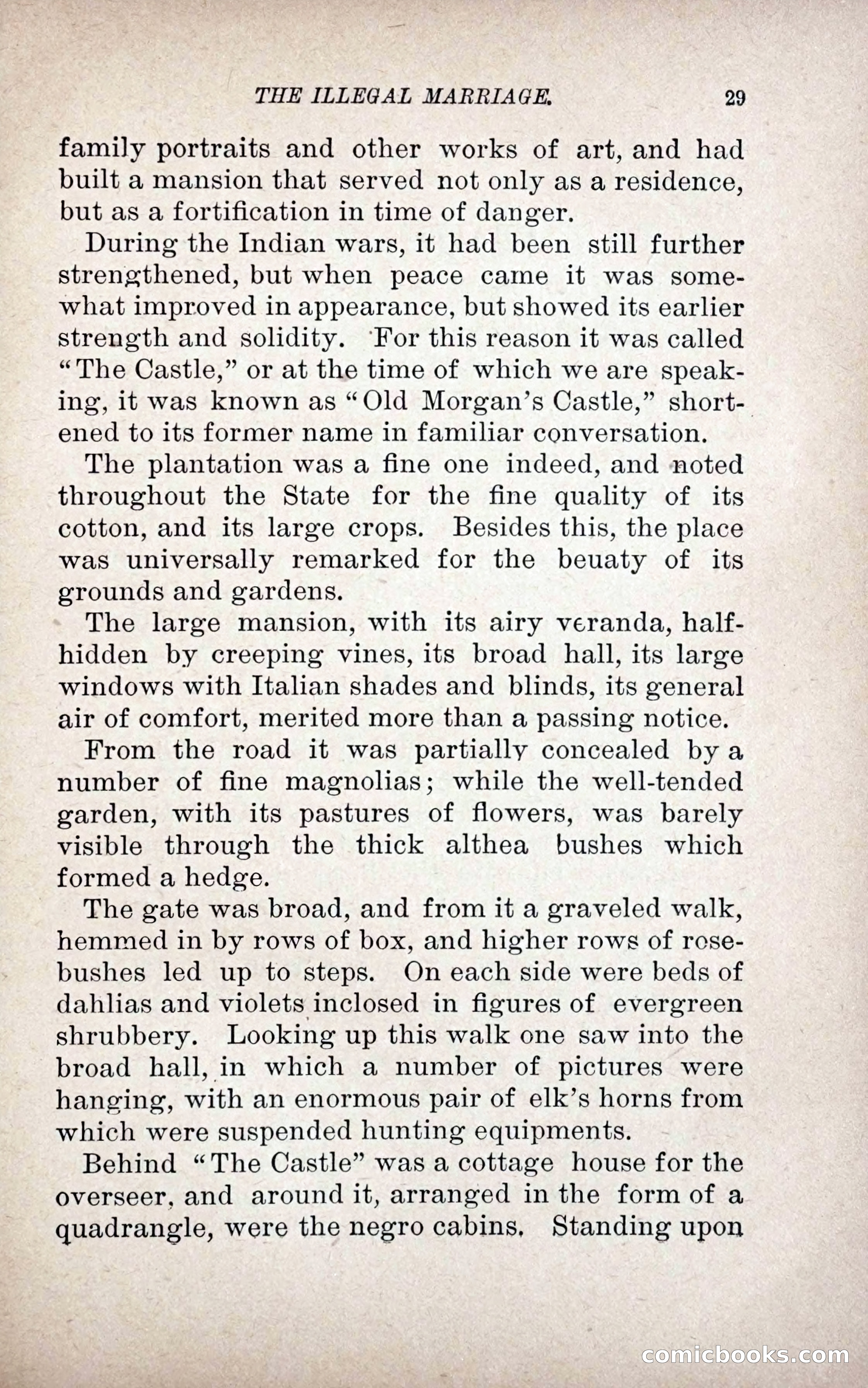 The Illegal Marriage — page 37 of 284