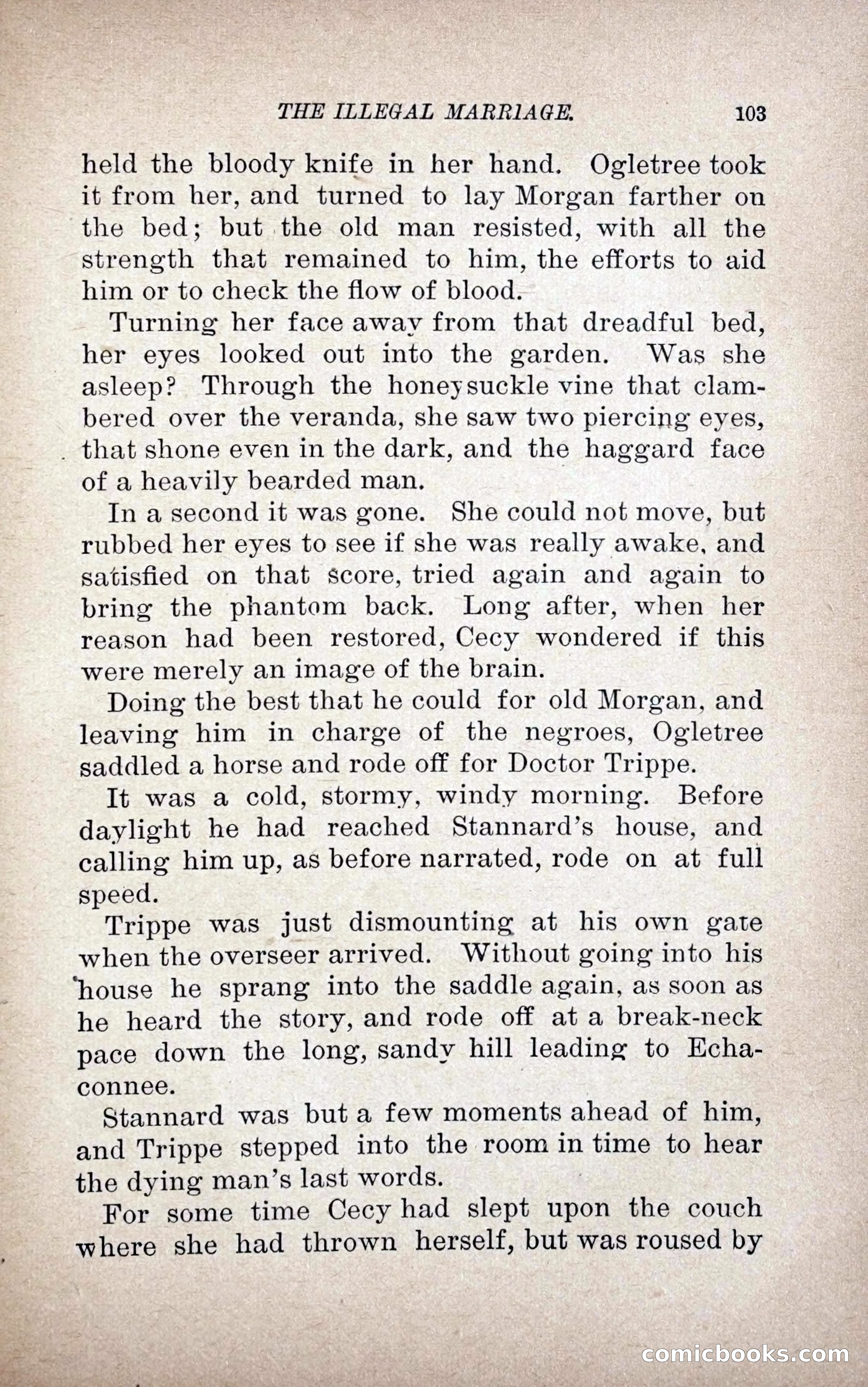 The Illegal Marriage — page 111 of 284