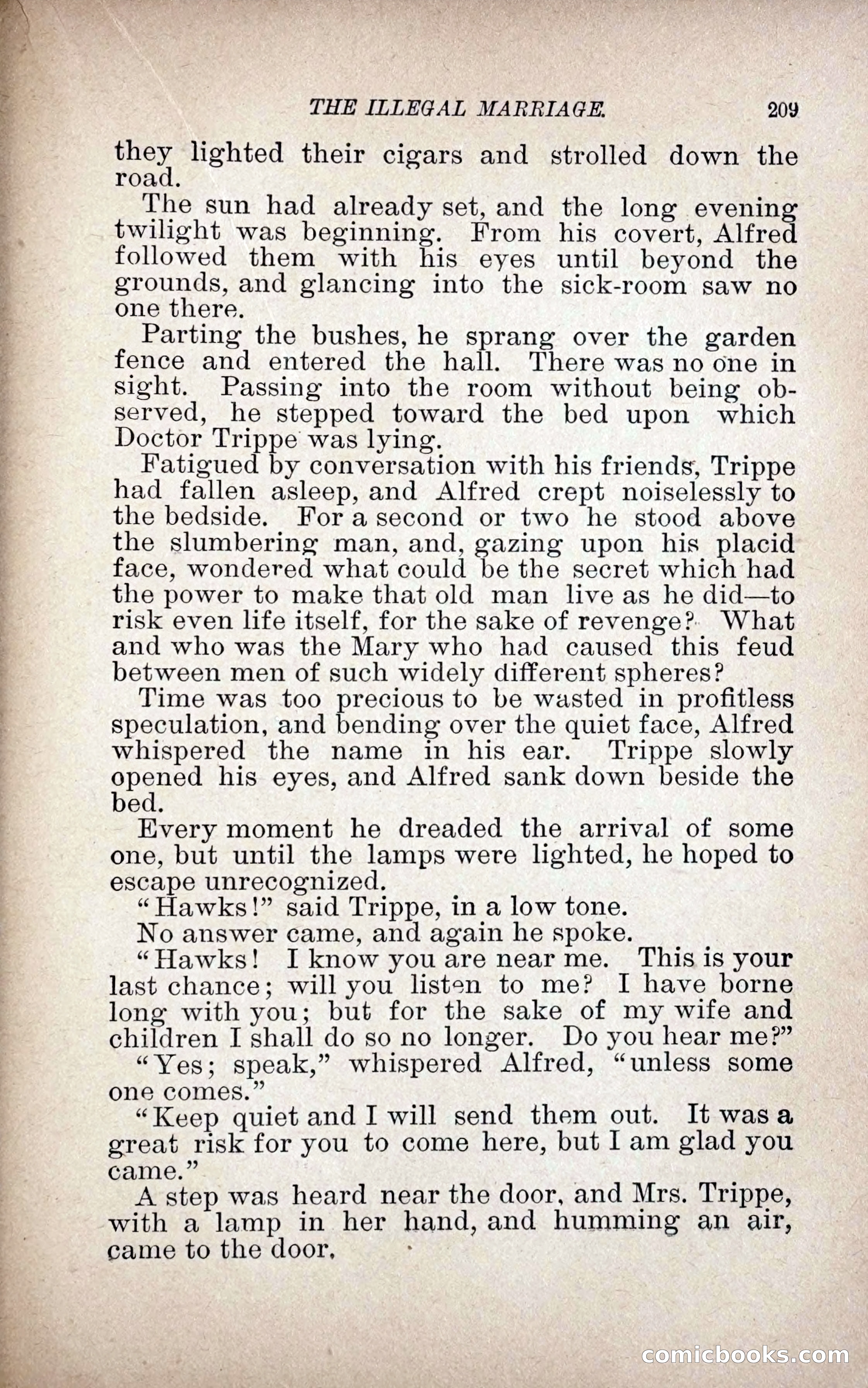 The Illegal Marriage — page 217 of 284
