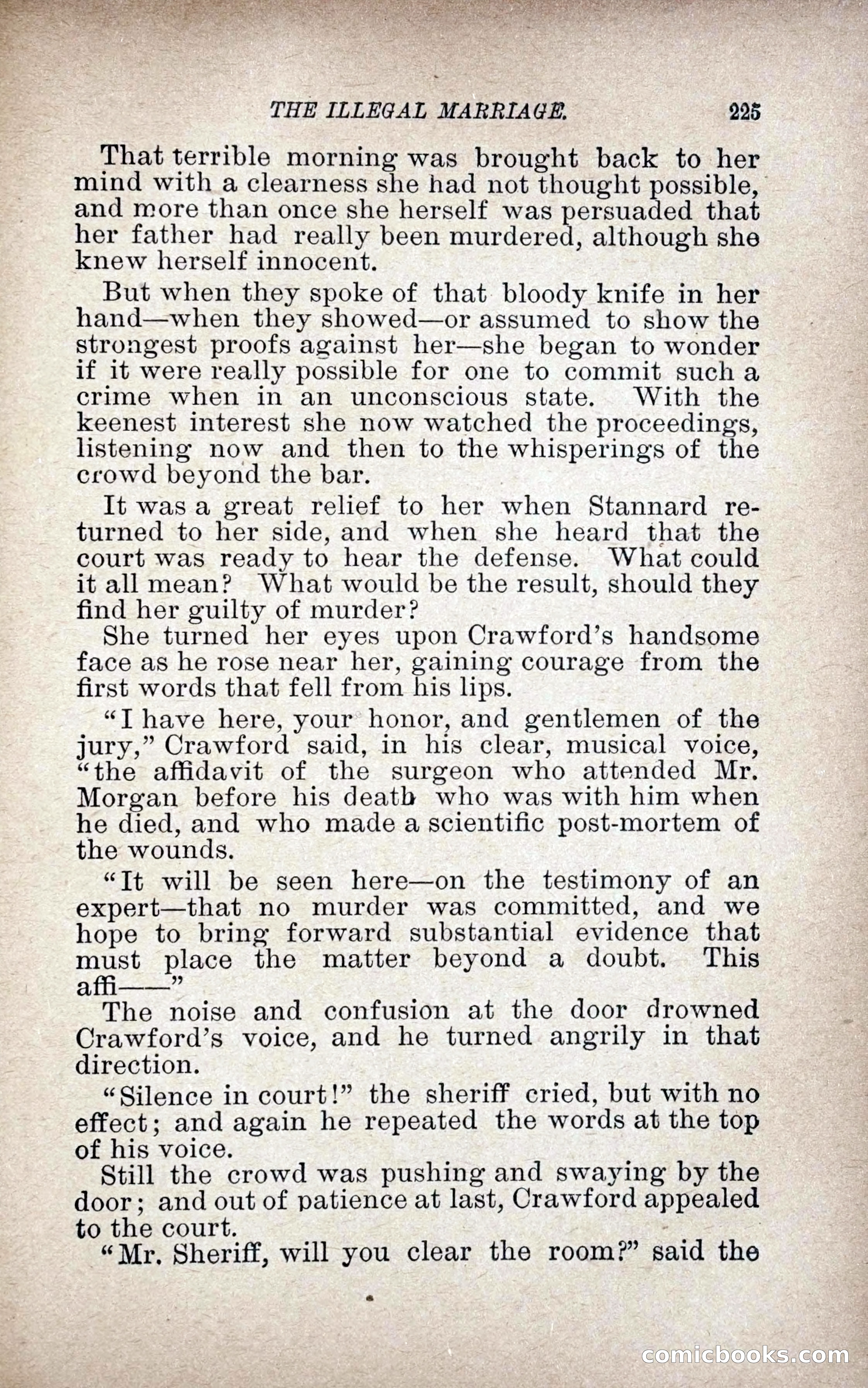 The Illegal Marriage — page 233 of 284