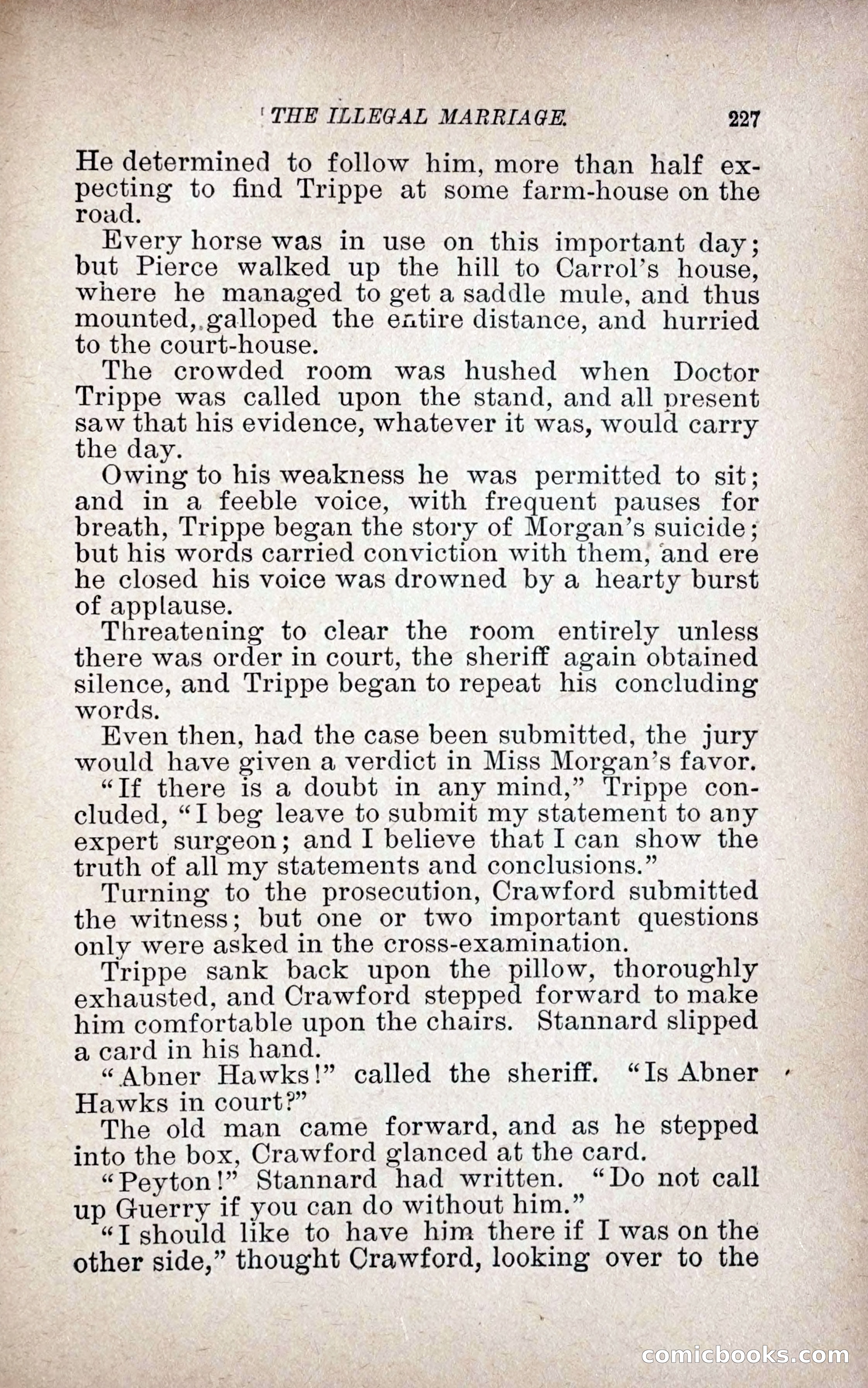 The Illegal Marriage — page 235 of 284