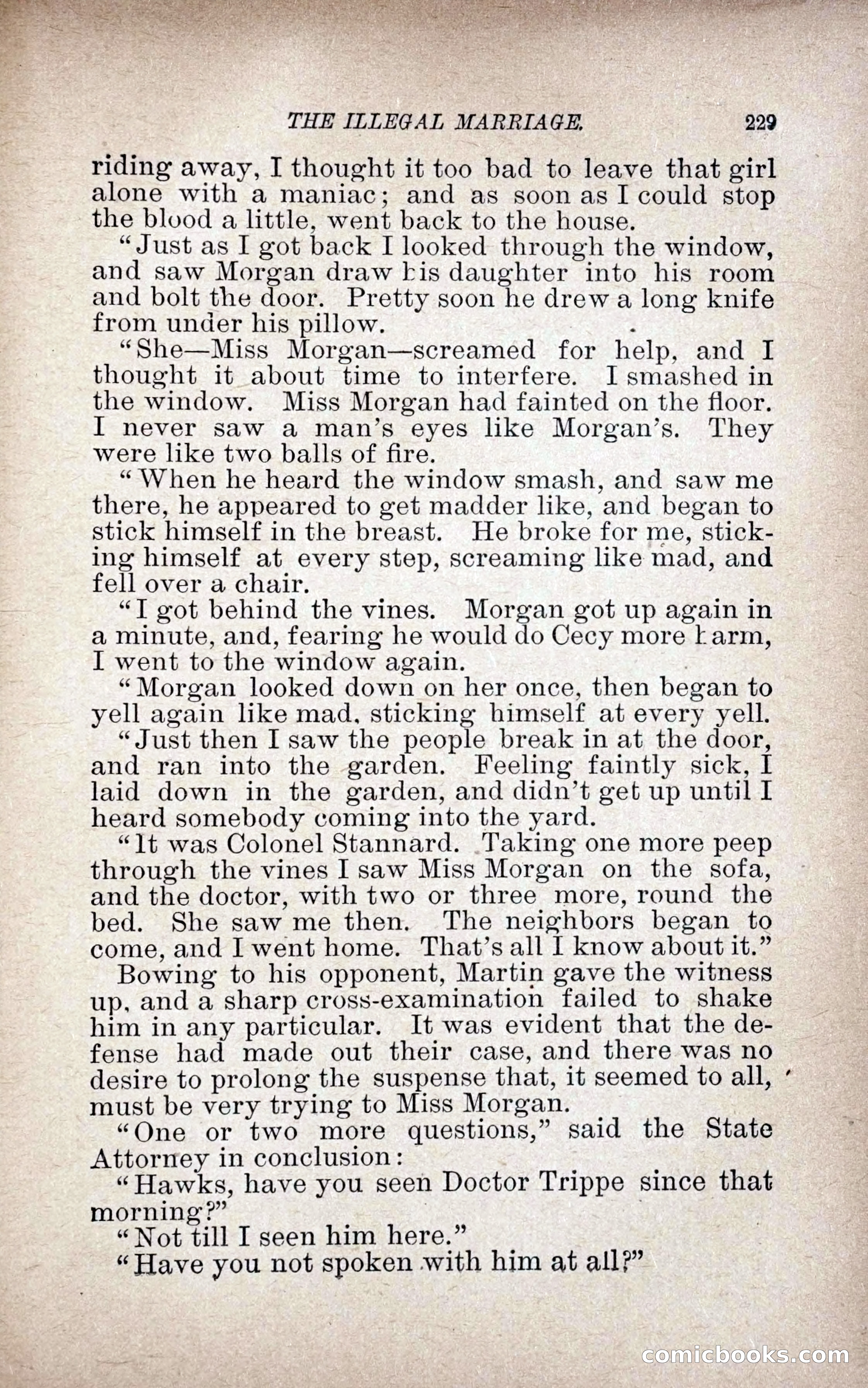 The Illegal Marriage — page 237 of 284
